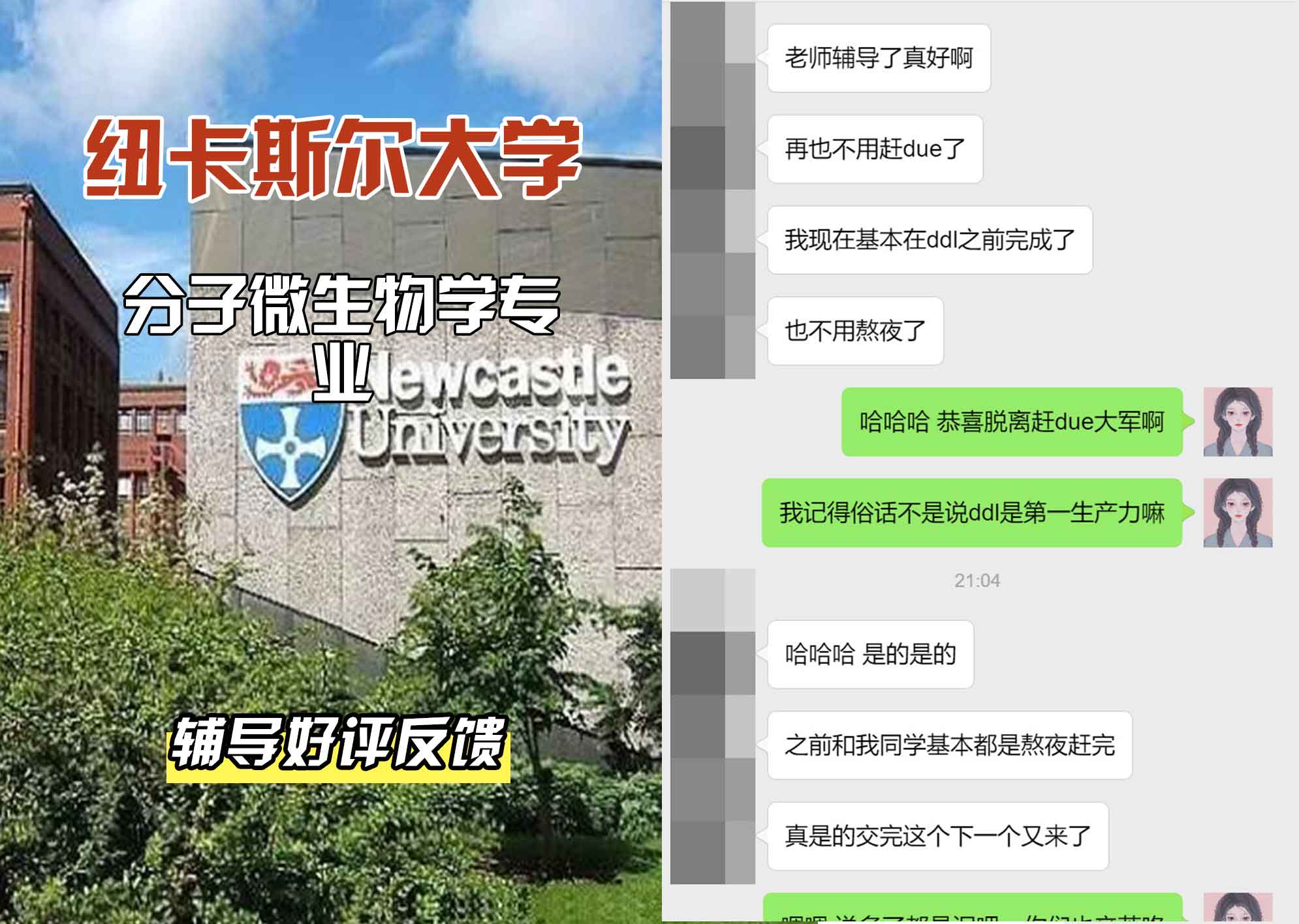 纽卡斯尔大学纽大分子微生物学辅导好评反馈