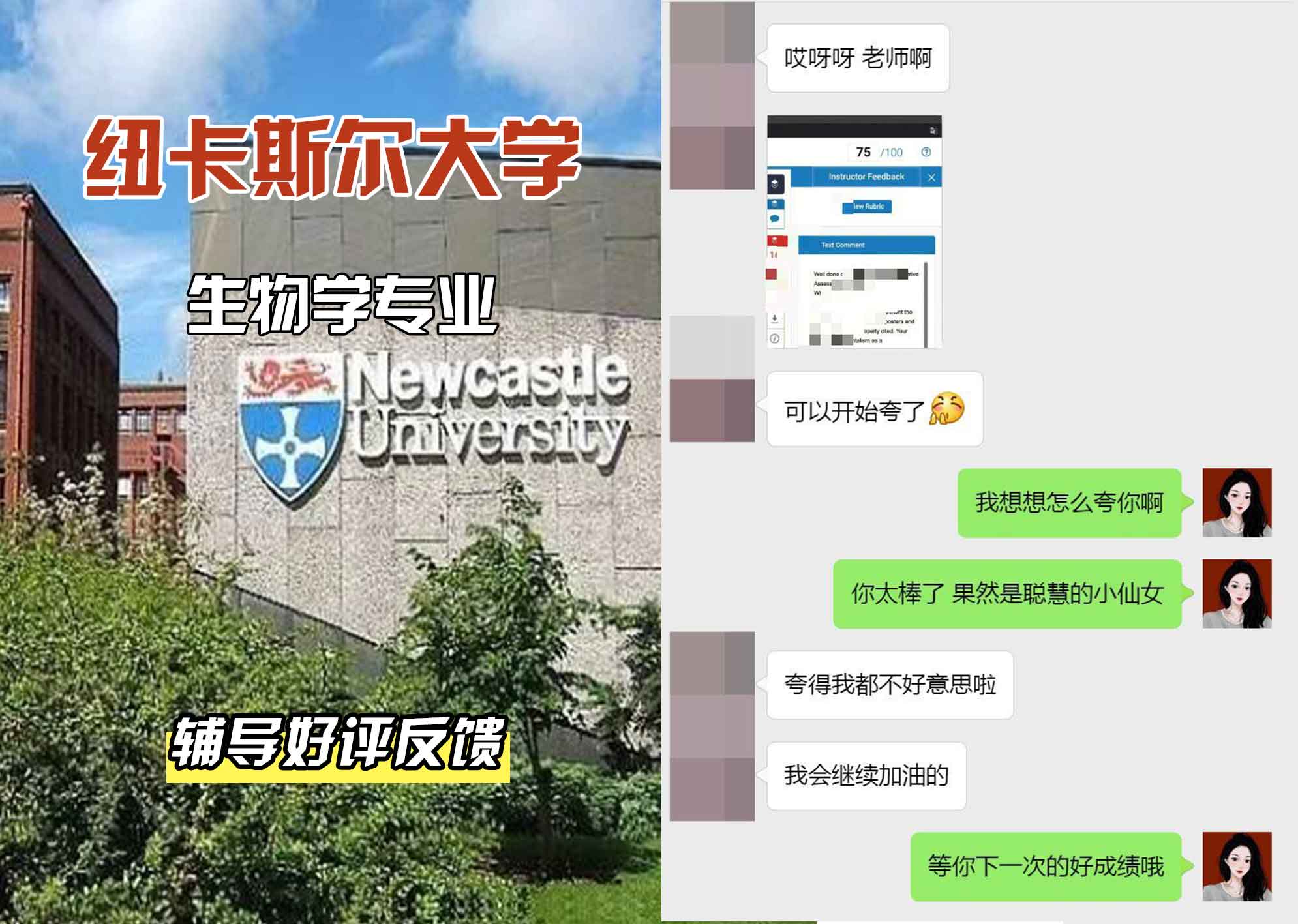 纽卡斯尔大学纽大生物学辅导好评反馈