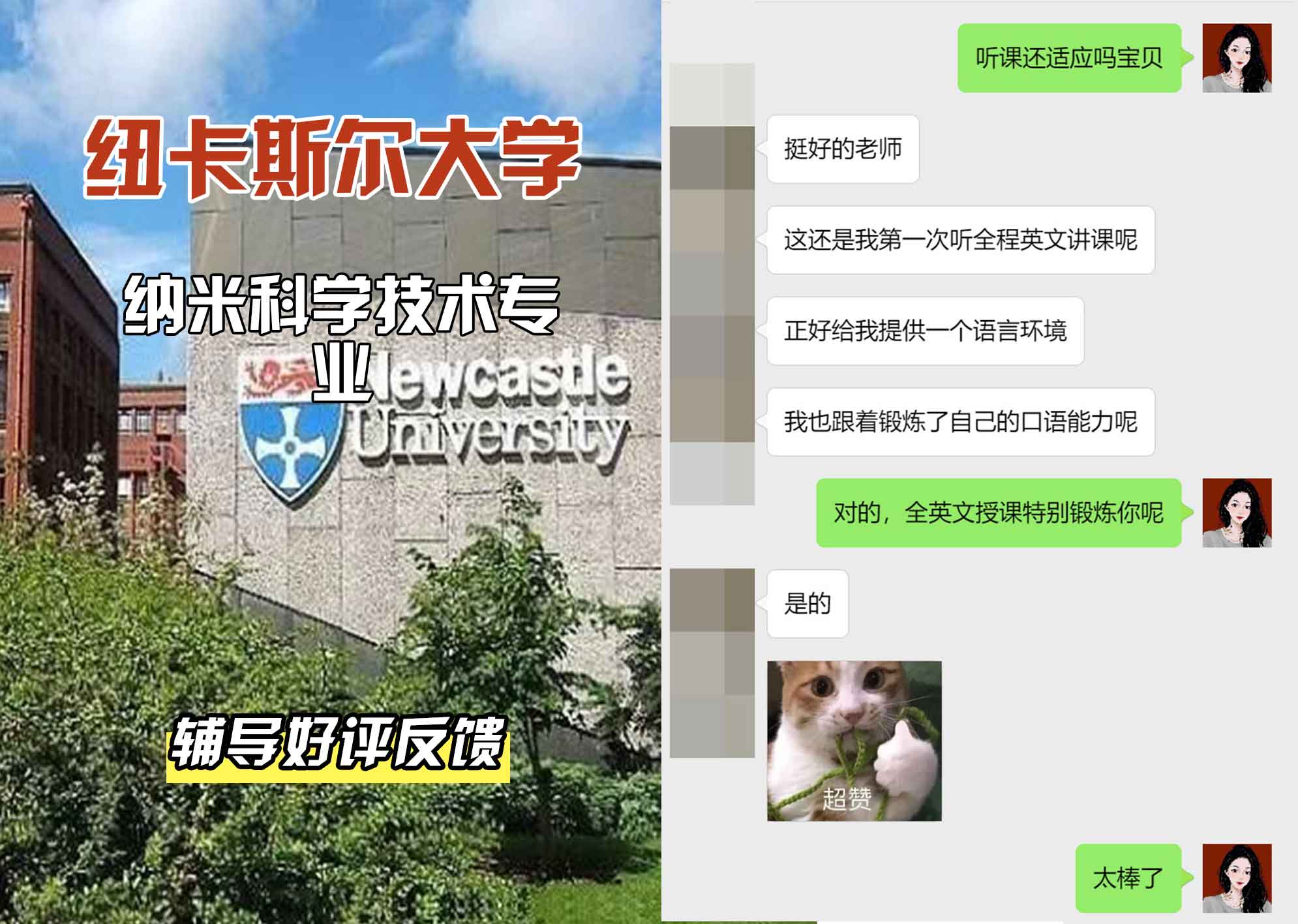 纽卡斯尔大学纽大纳米科学技术辅导好评反馈
