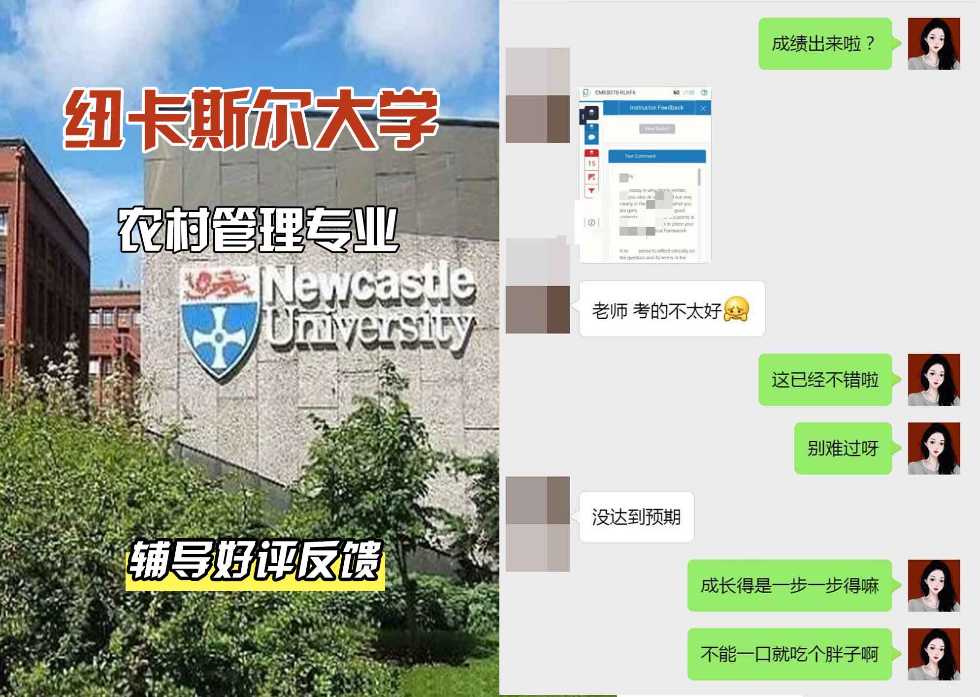 纽卡斯尔大学纽大农村管理辅导好评反馈