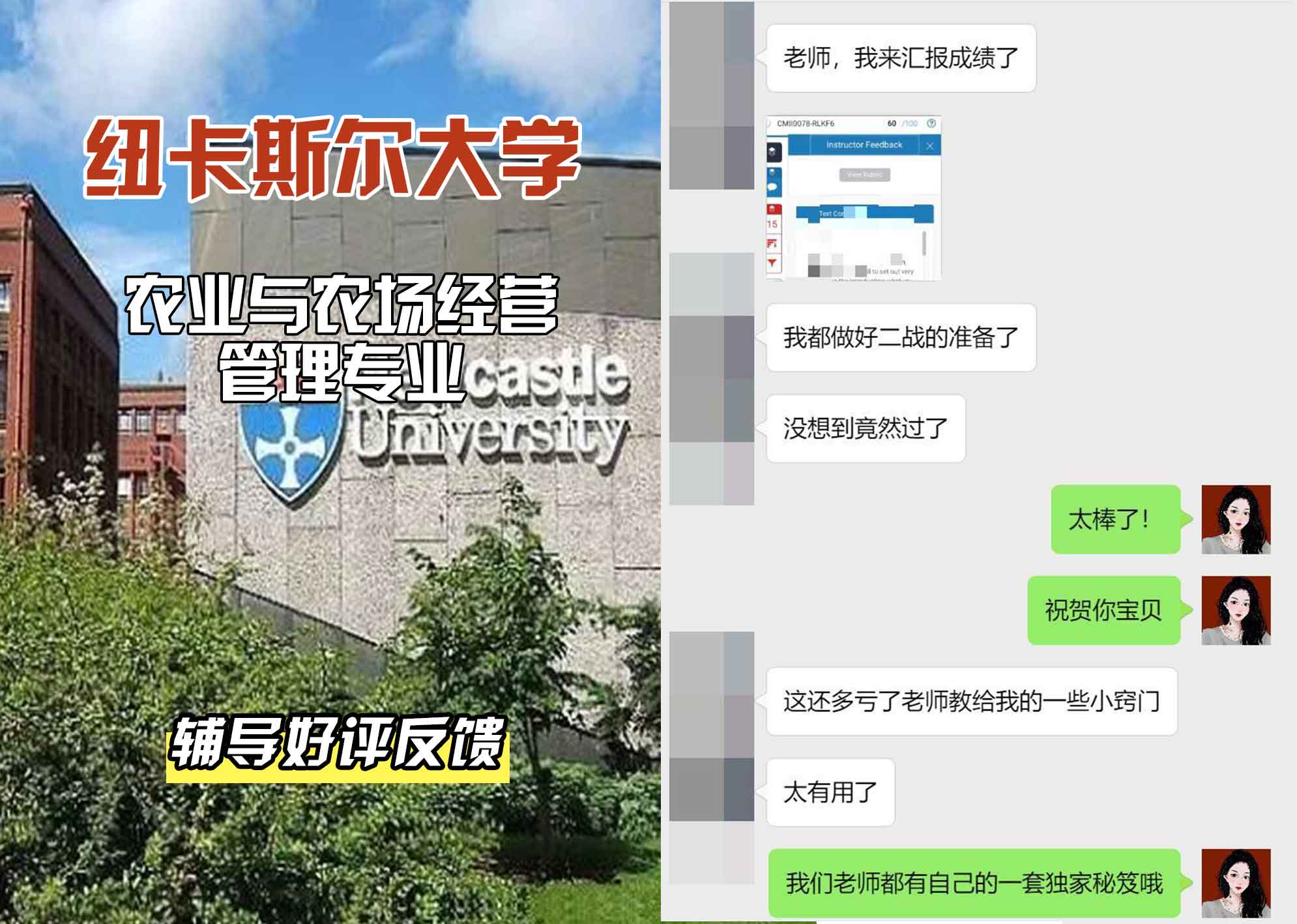 纽卡斯尔大学纽大农业与农场经营管理辅导好评反馈
