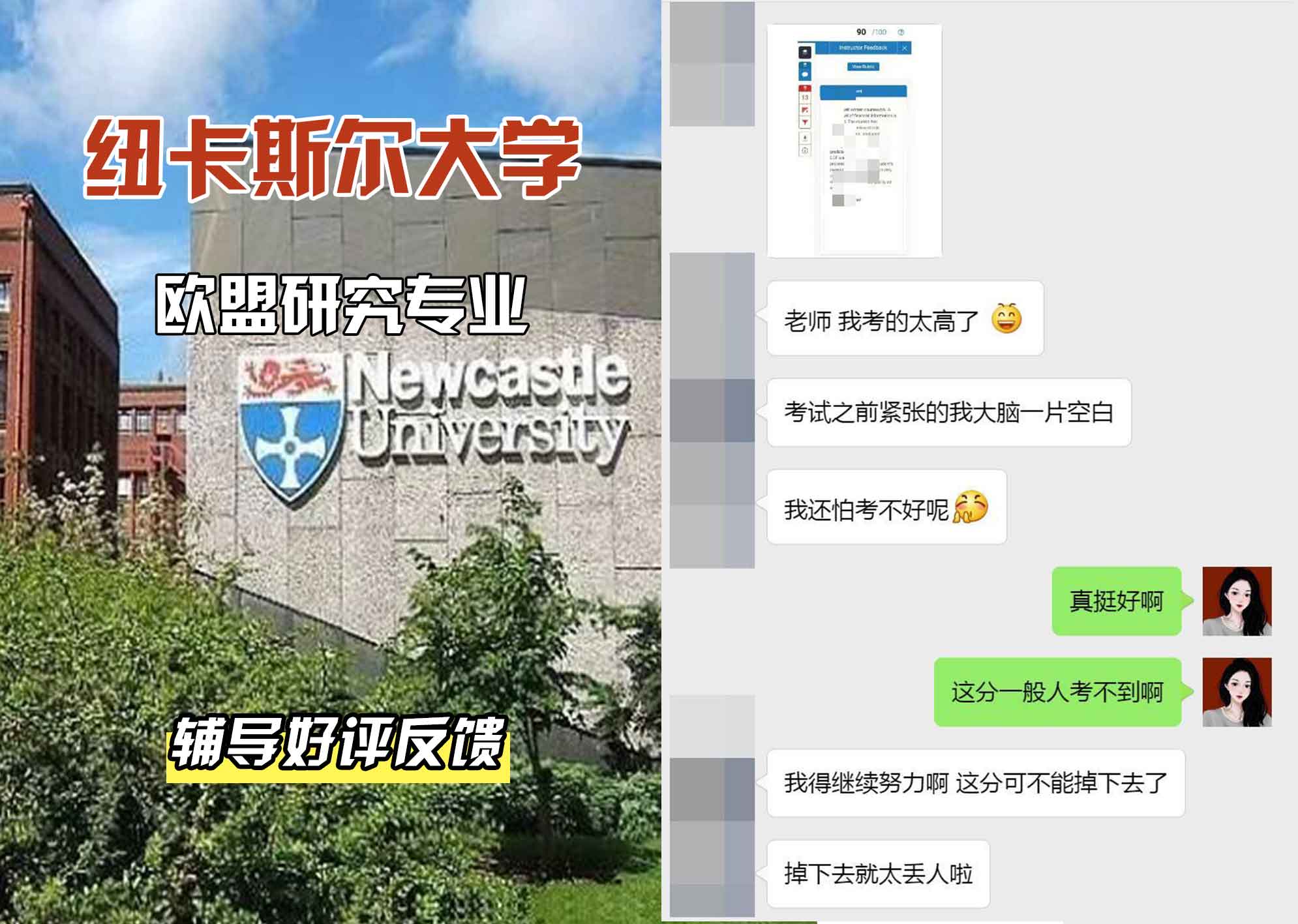 纽卡斯尔大学纽大欧盟研究辅导好评反馈