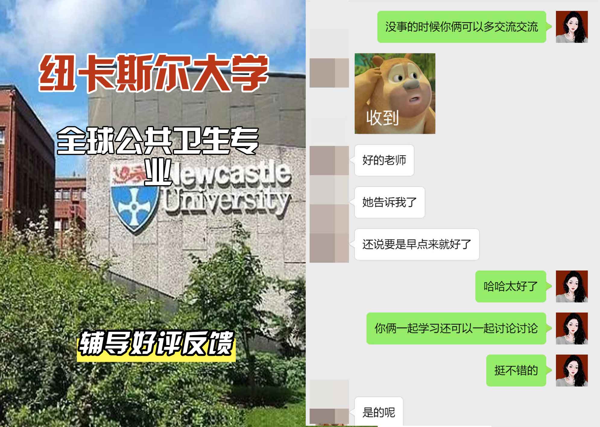 纽卡斯尔大学纽大全球公共卫生辅导好评反馈