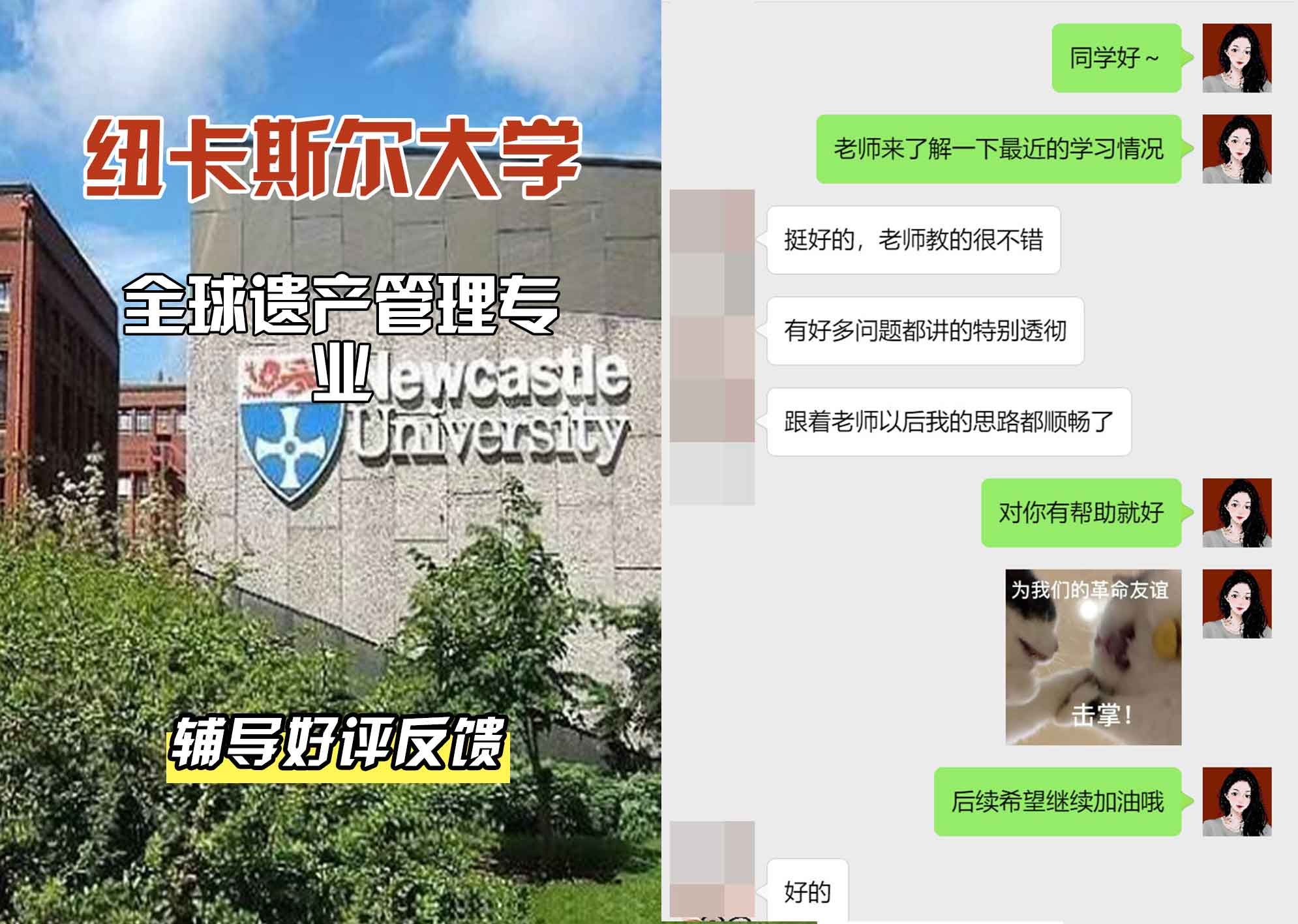 纽卡斯尔大学纽大全球遗产管理辅导好评反馈