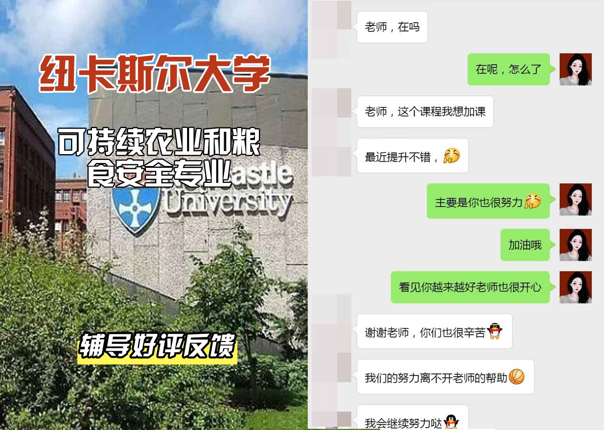 纽卡斯尔大学纽大可持续农业和粮食安全辅导好评反馈