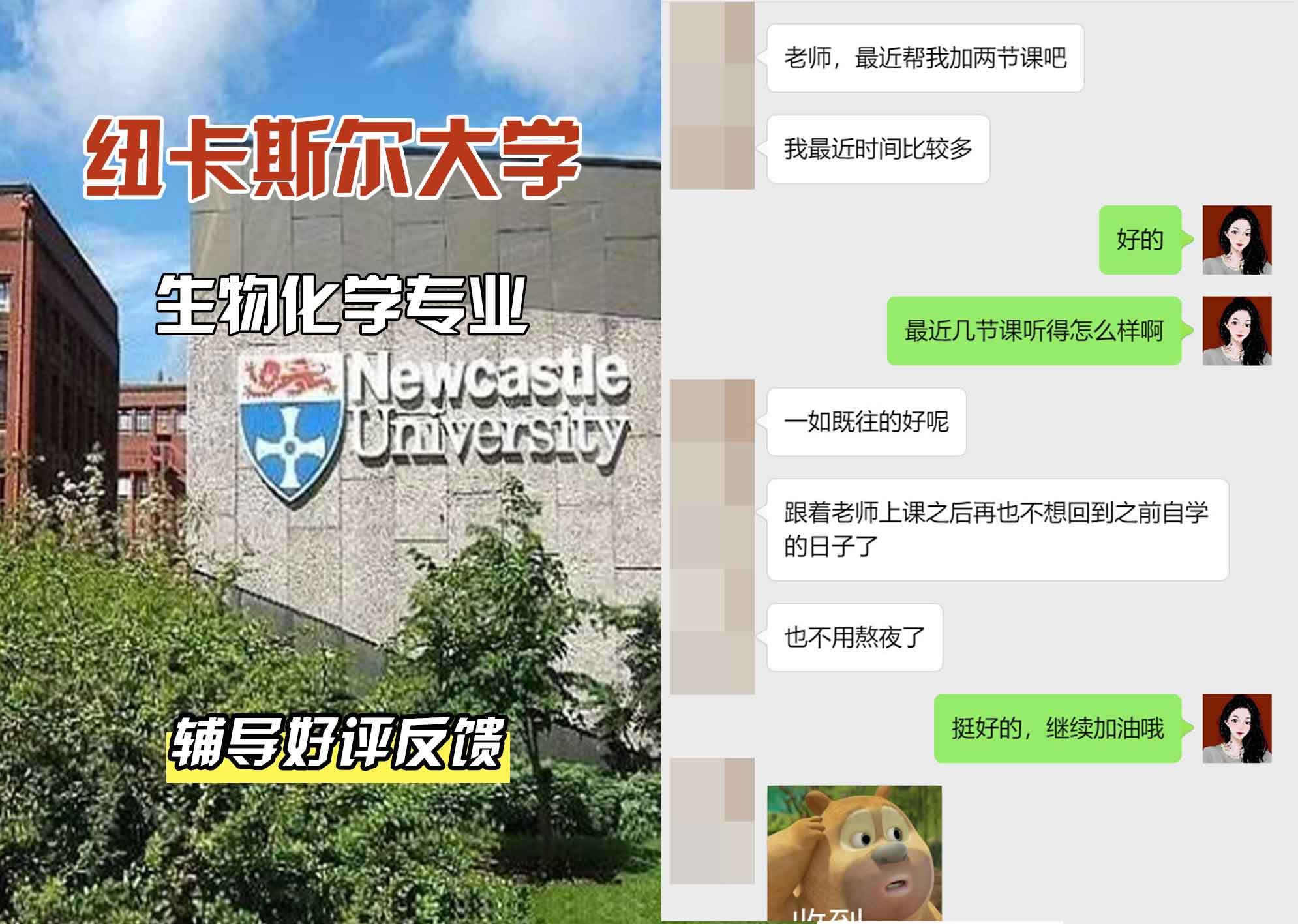 纽卡斯尔大学纽大生物化学辅导好评反馈