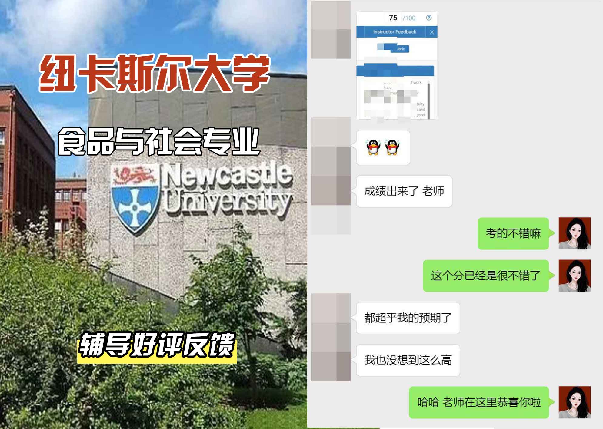 纽卡斯尔大学纽大食品与社会辅导好评反馈