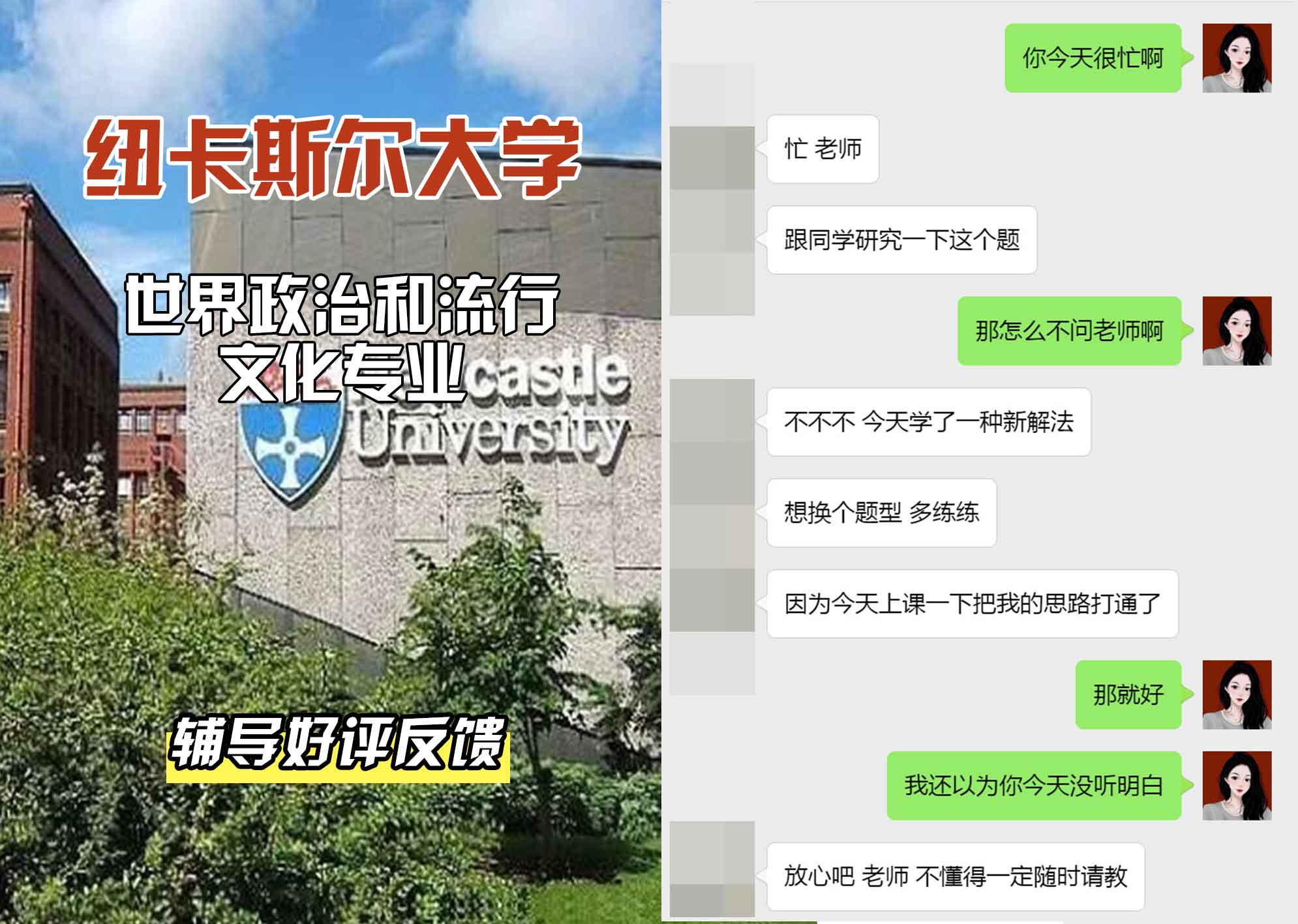 纽卡斯尔大学纽大世界政治和流行文化辅导好评反馈