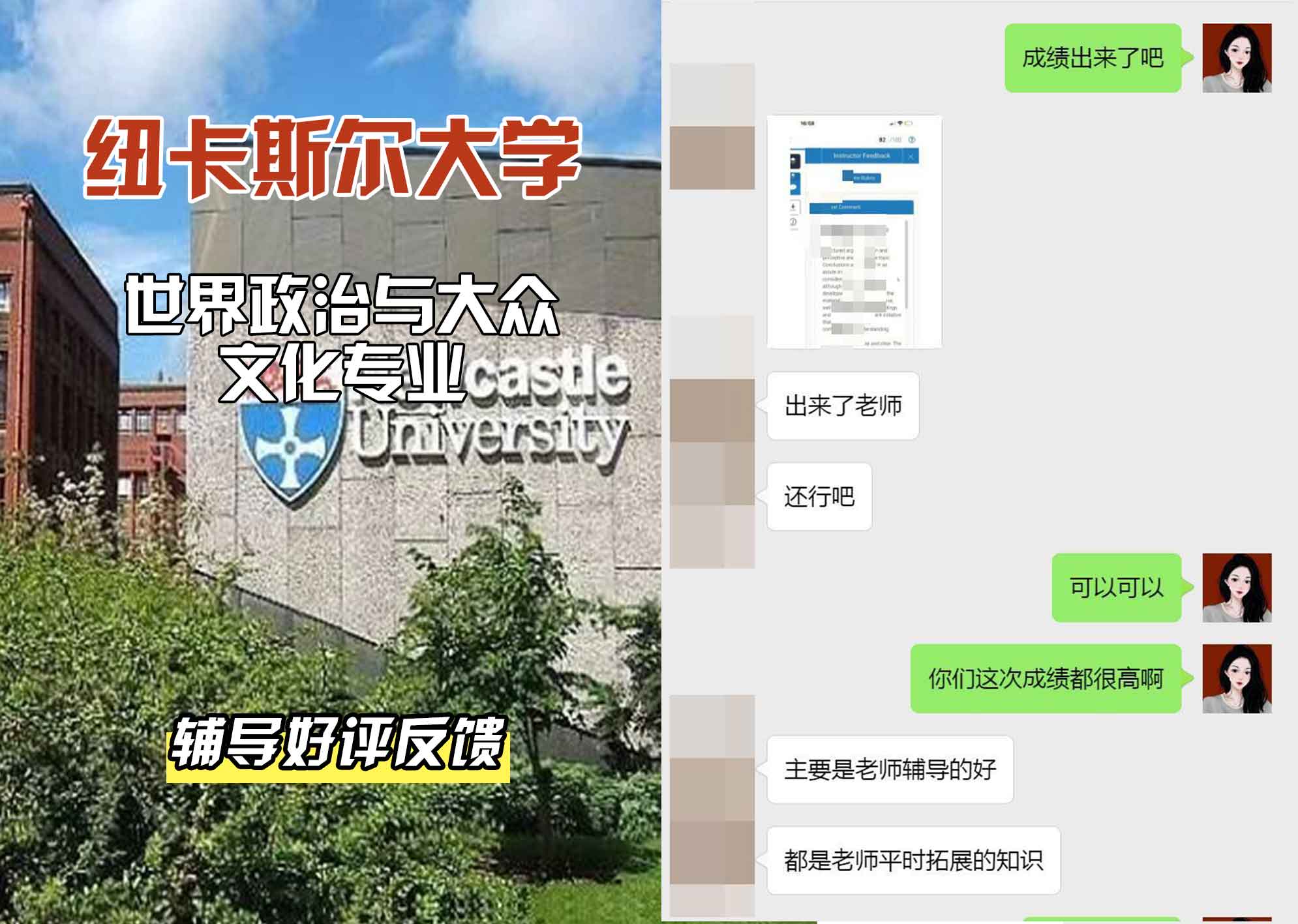 纽卡斯尔大学纽大世界政治与大众文化辅导好评反馈