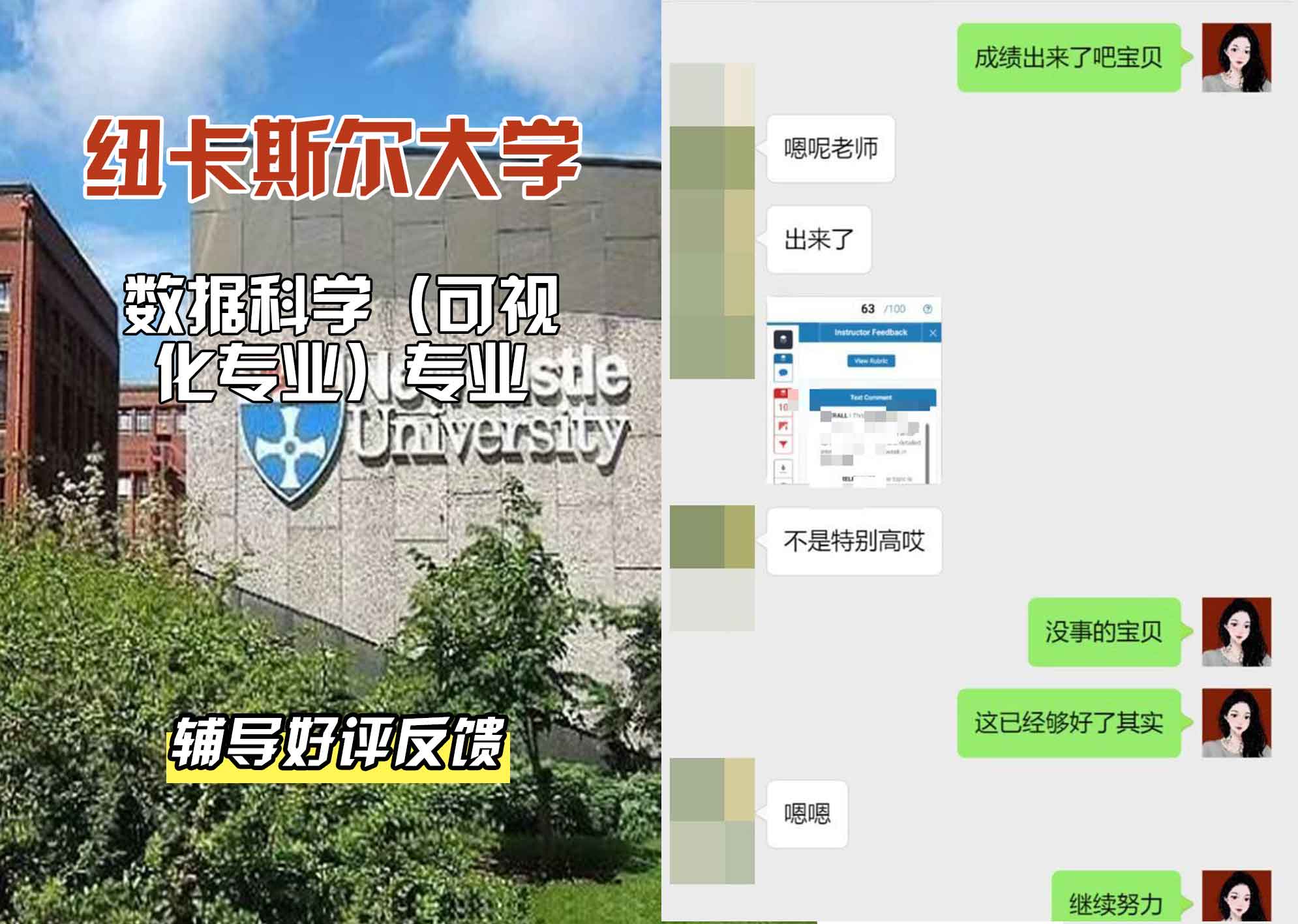 纽卡斯尔大学纽大数据科学(可视化专业)辅导好评反馈