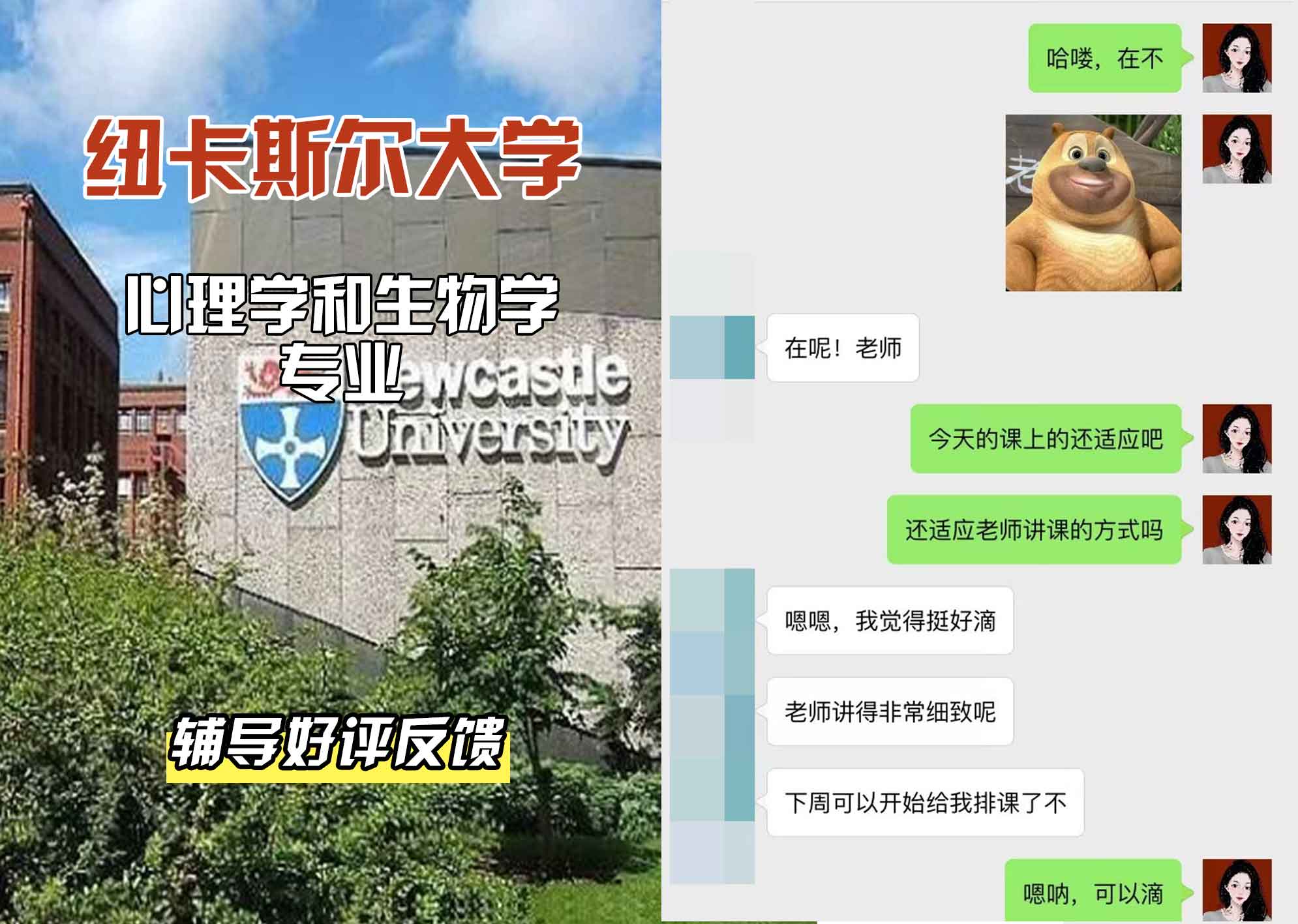 纽卡斯尔大学纽大心理学和生物学辅导好评反馈