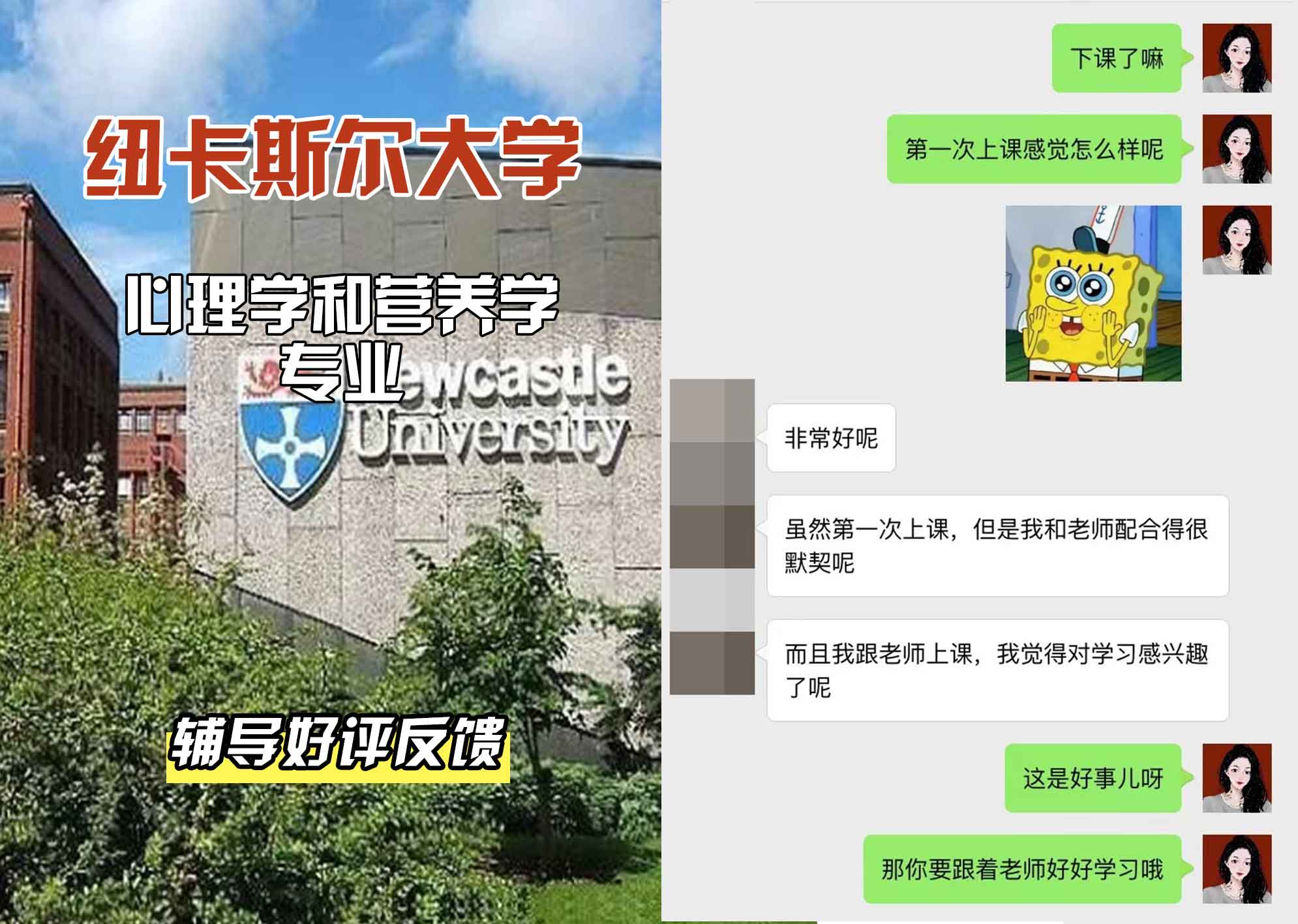 纽卡斯尔大学纽大心理学和营养学辅导好评反馈