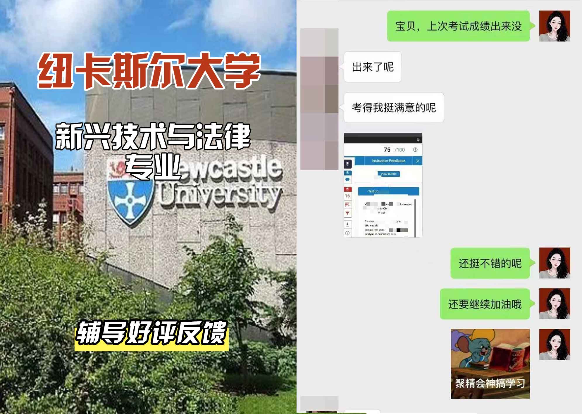 纽卡斯尔大学纽大新兴技术与法律辅导好评反馈