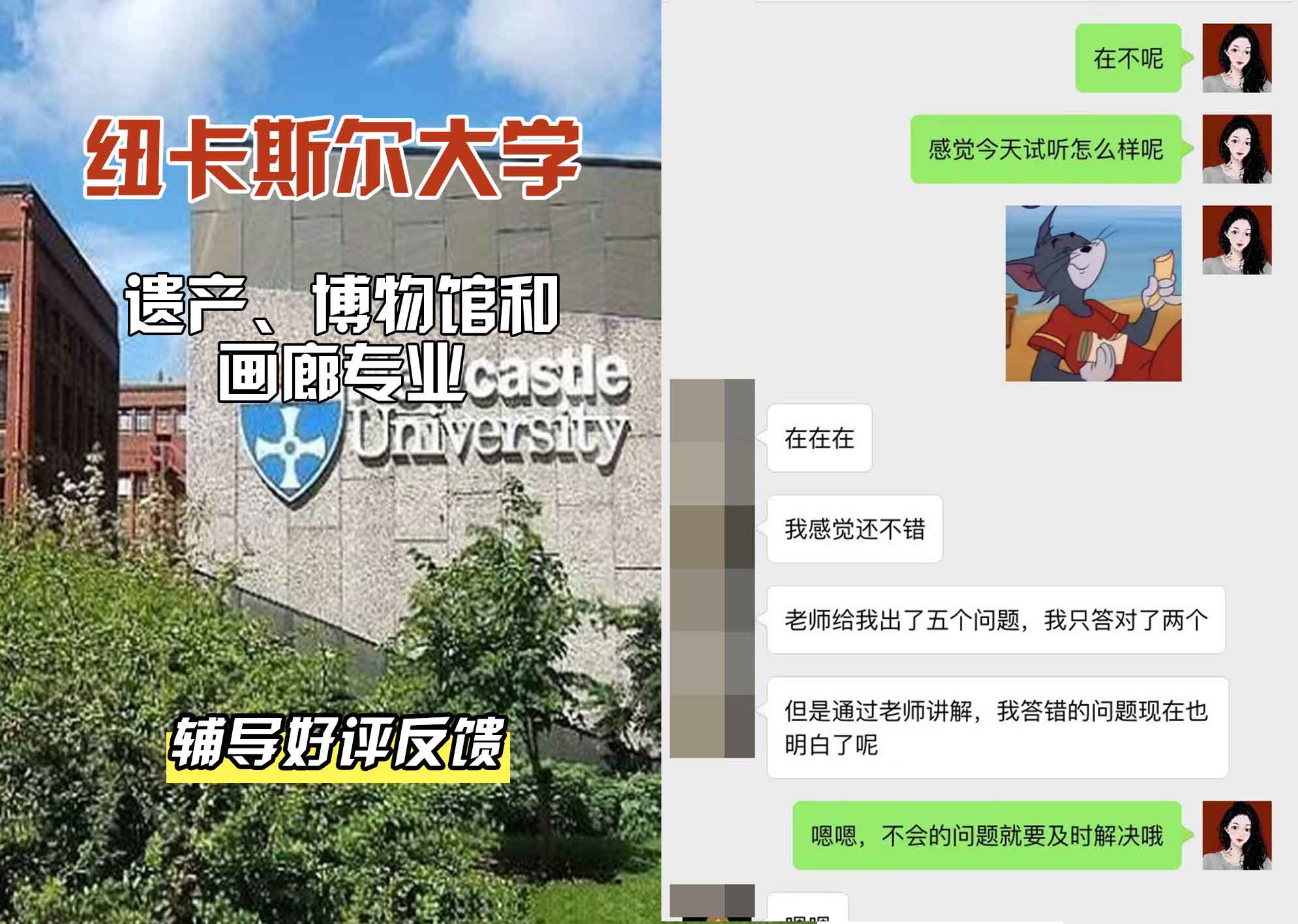 纽卡斯尔大学纽大遗产、博物馆和画廊辅导好评反馈