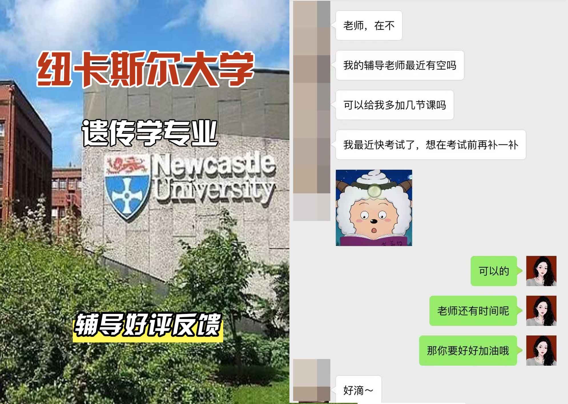 纽卡斯尔大学纽大遗传学辅导好评反馈