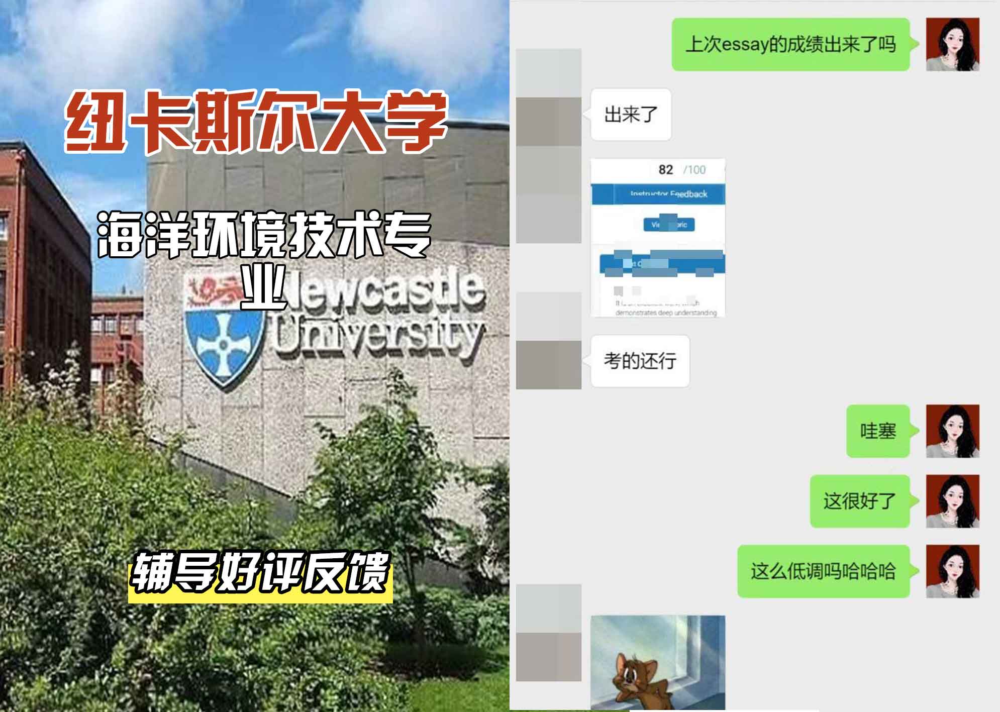 纽卡斯尔大学纽大海洋环境技术辅导好评反馈