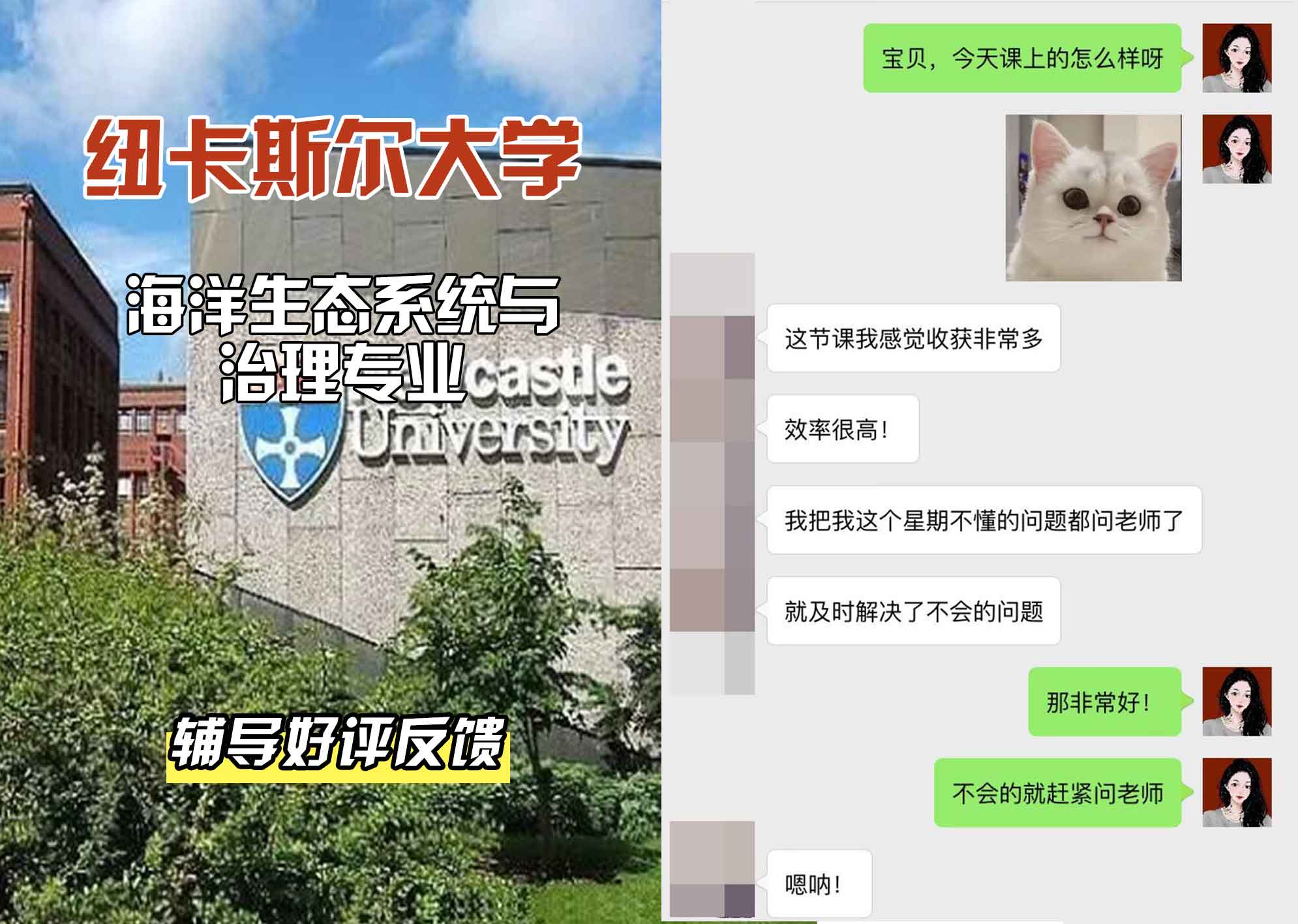 纽卡斯尔大学纽大海洋生态系统与治理辅导好评反馈