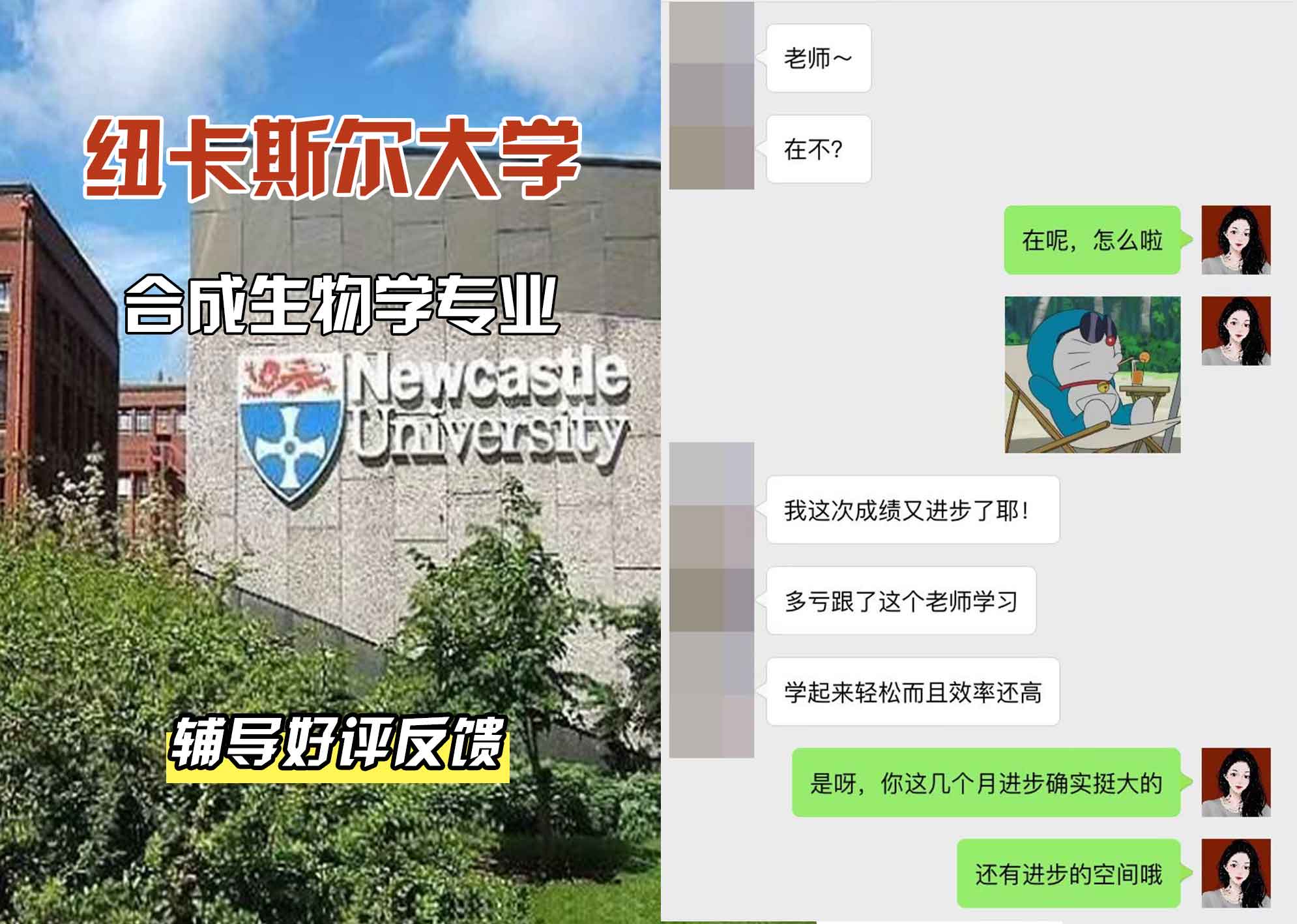 纽卡斯尔大学纽大合成生物学辅导好评反馈