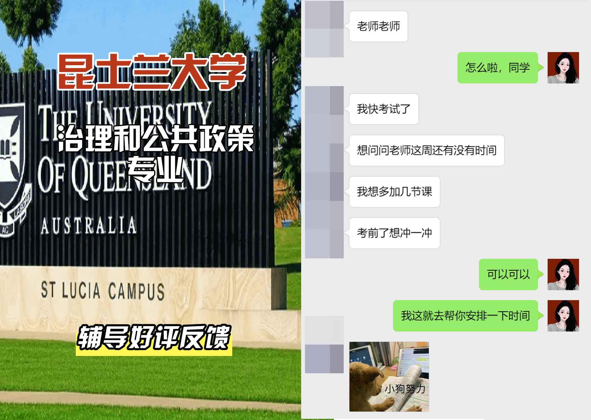 昆士兰大学UQ治理和公共政策辅导好评反馈