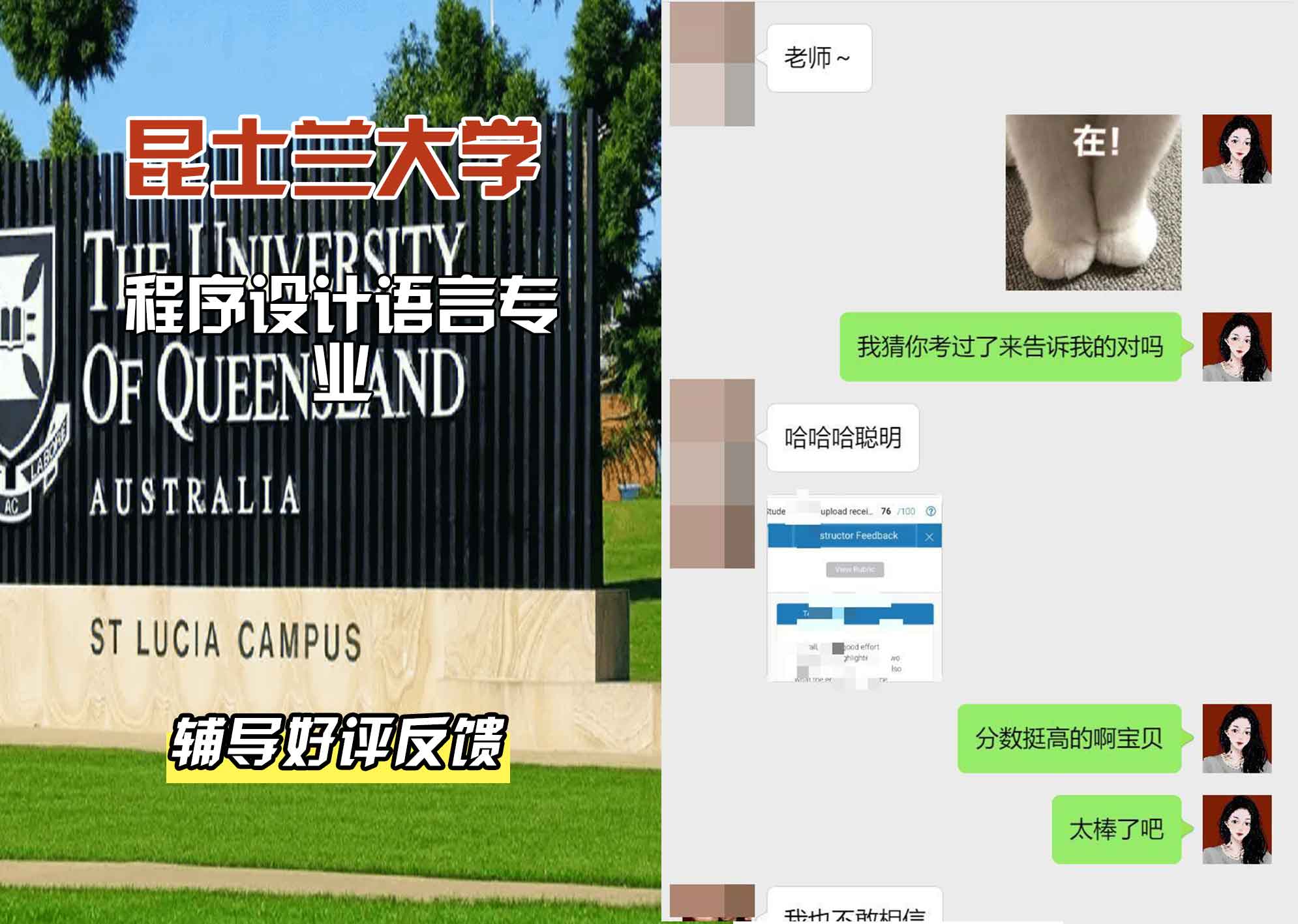 昆士兰大学UQ程序设计语言辅导好评反馈