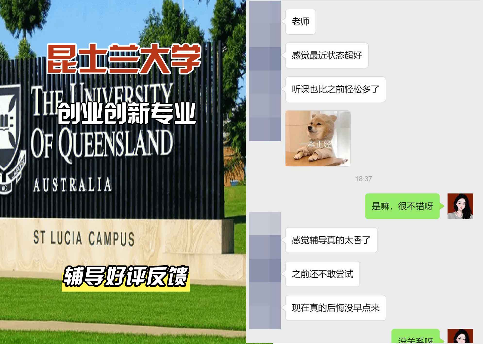 昆士兰大学UQ创业创新辅导好评反馈