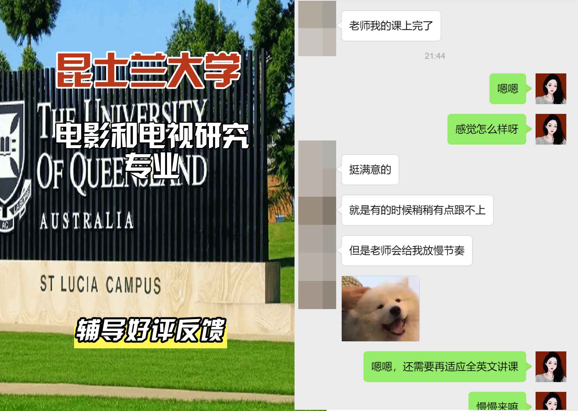 昆士兰大学UQ电影和电视研究辅导好评反馈