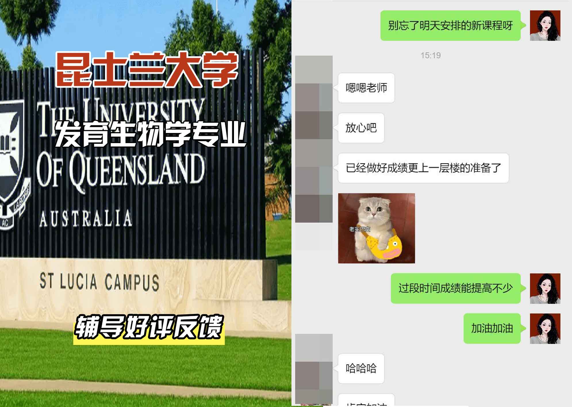 昆士兰大学UQ发育生物学辅导好评反馈