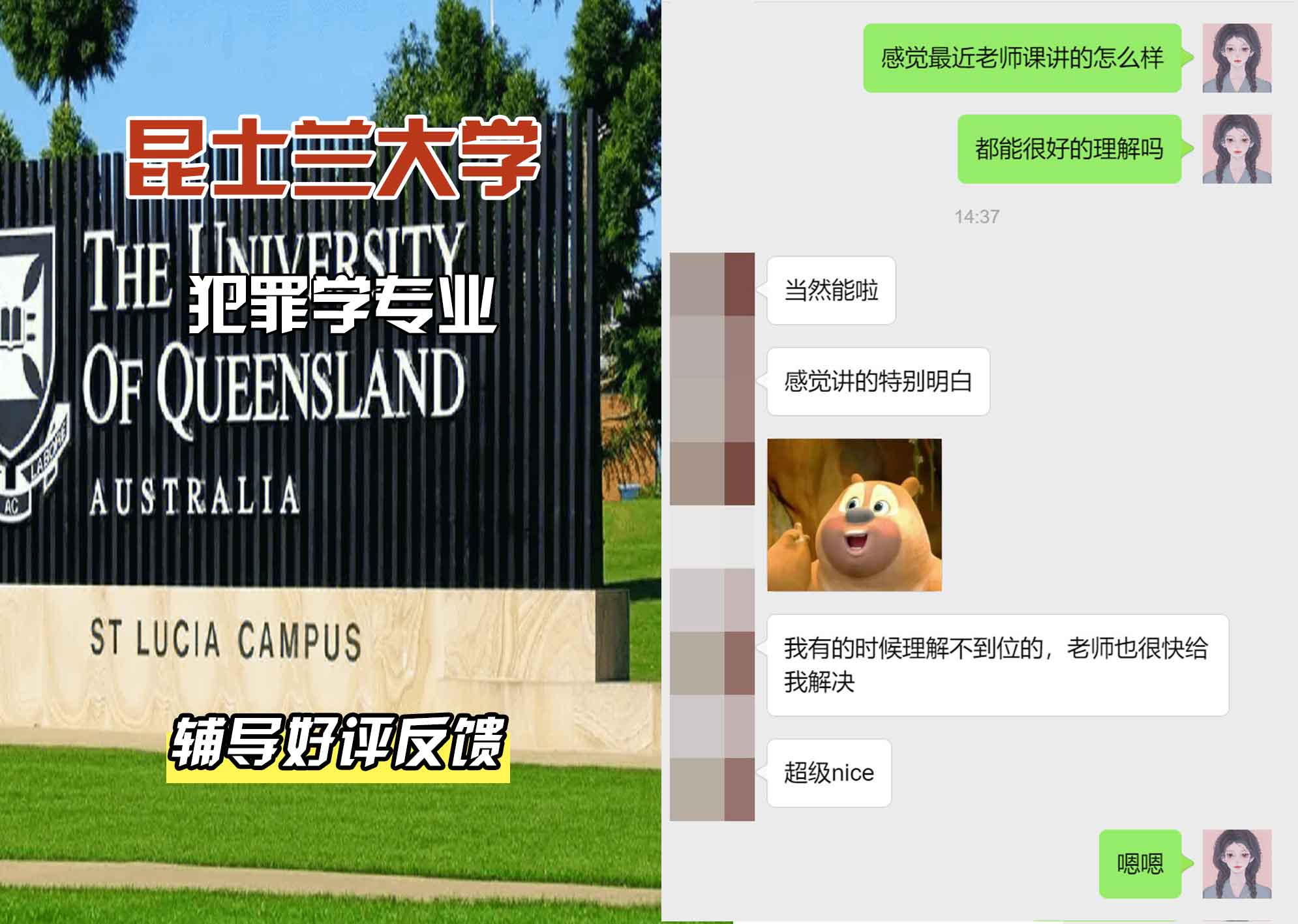 昆士兰大学UQ犯罪学辅导好评反馈