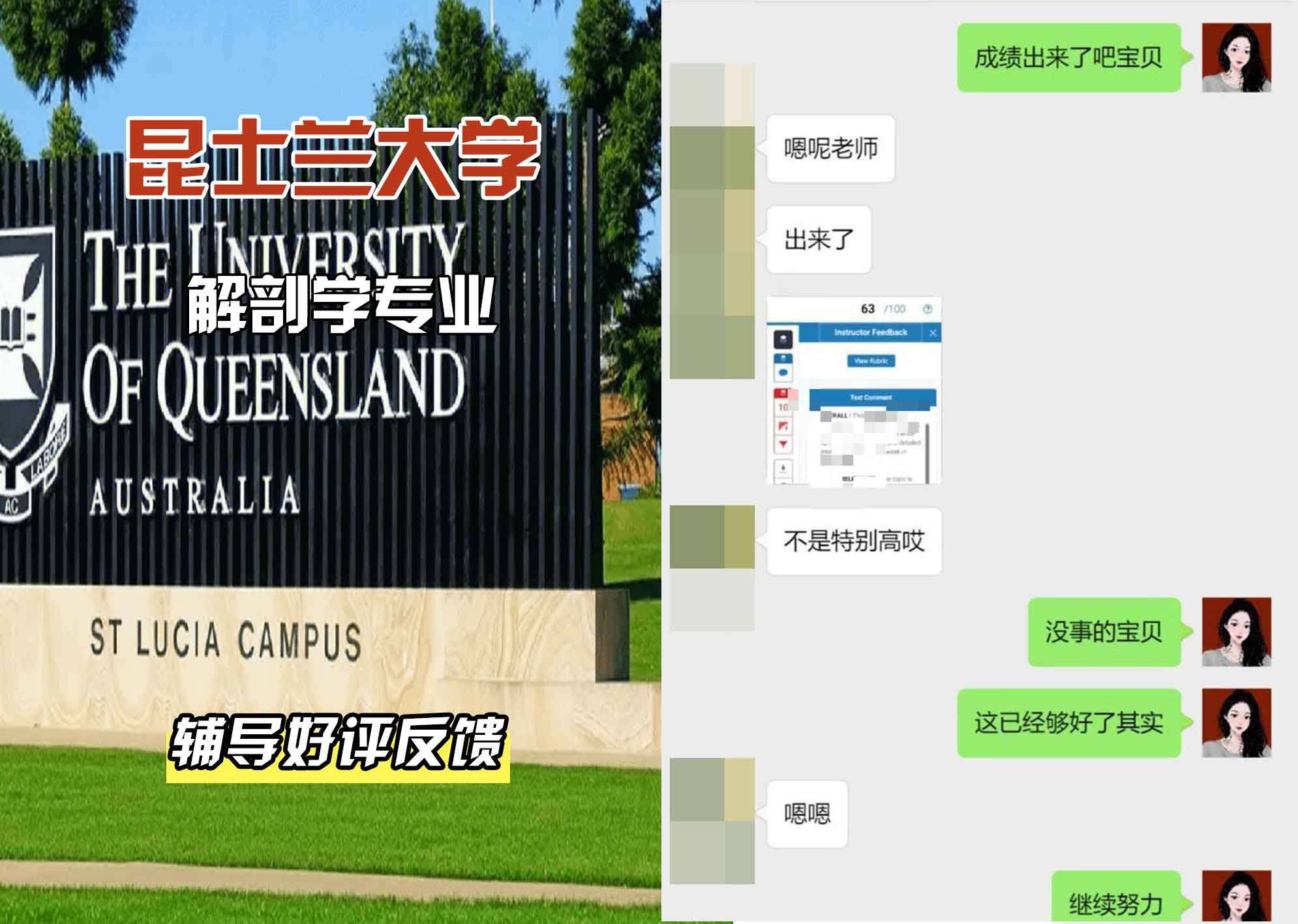 昆士兰大学UQ解剖学辅导好评反馈