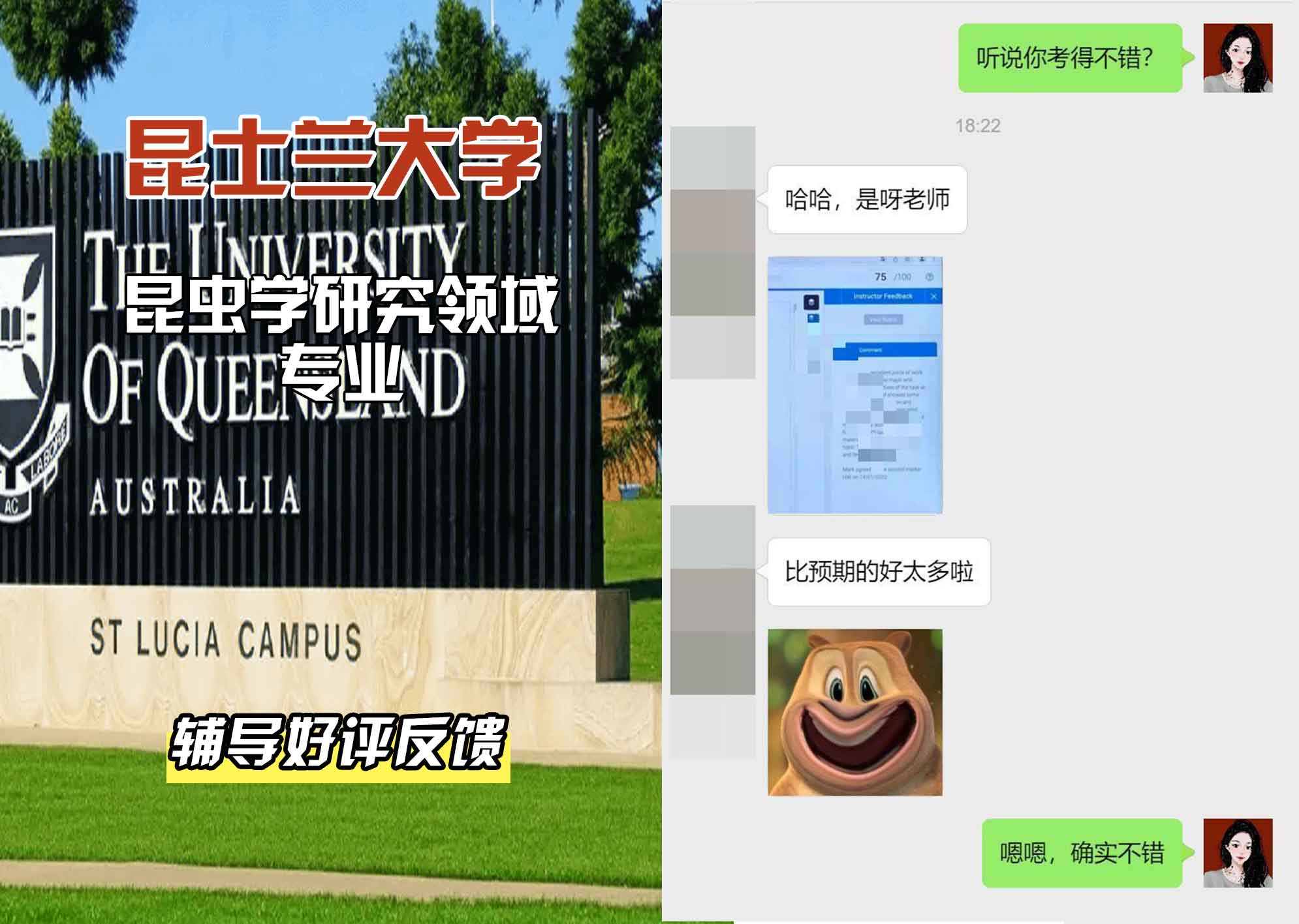 昆士兰大学UQ昆虫学研究领域辅导好评反馈