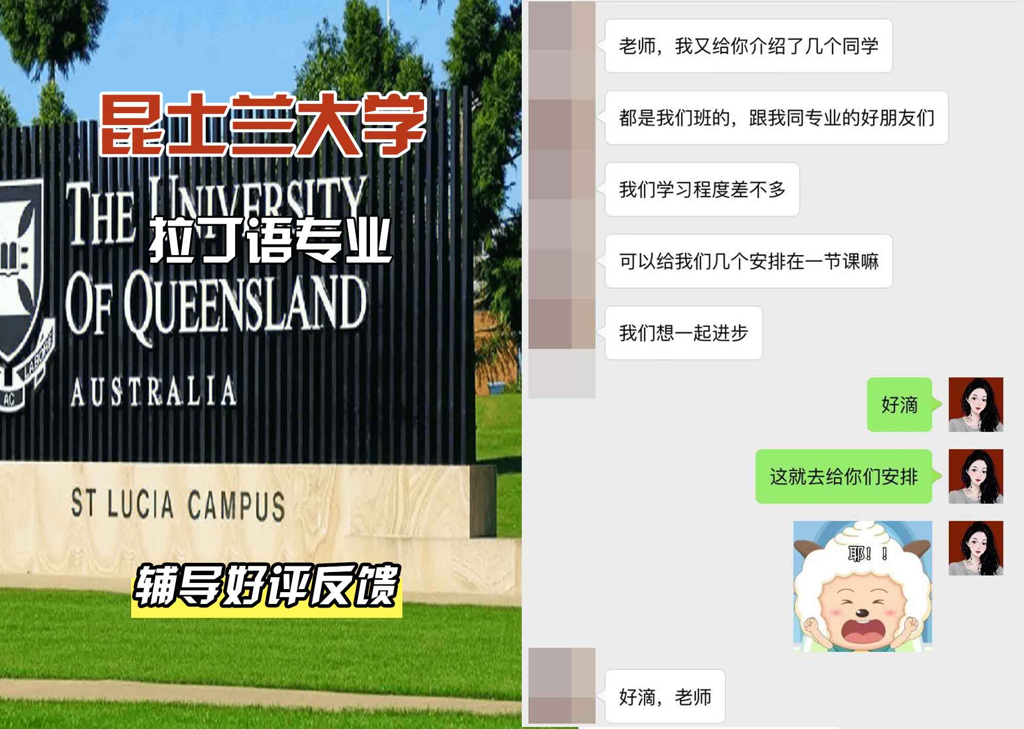 昆士兰大学UQ拉丁语辅导好评反馈