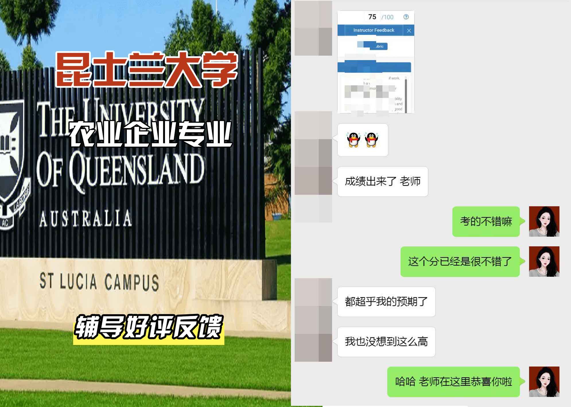 昆士兰大学UQ农业企业辅导好评反馈