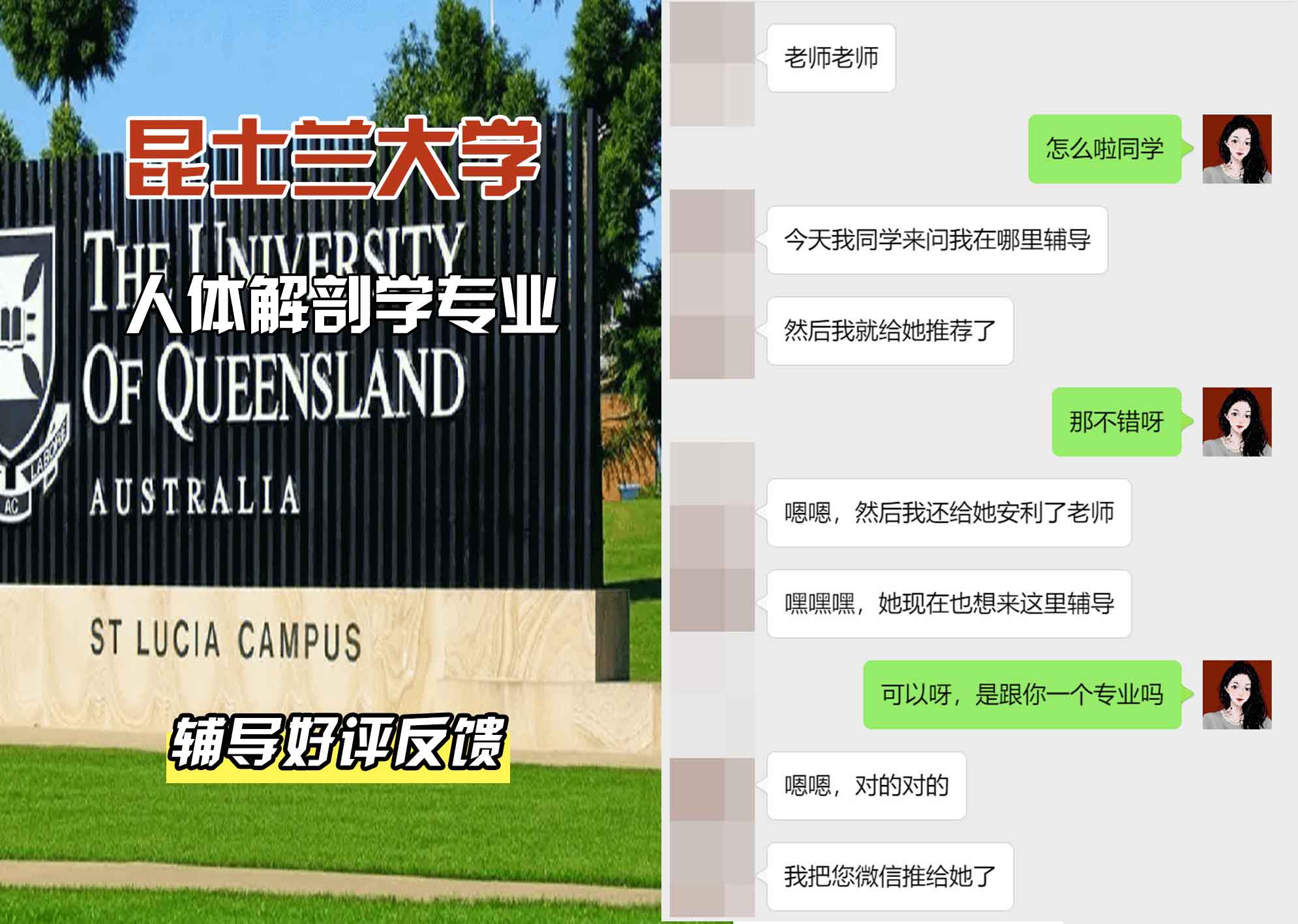 昆士兰大学UQ人体解剖学辅导好评反馈