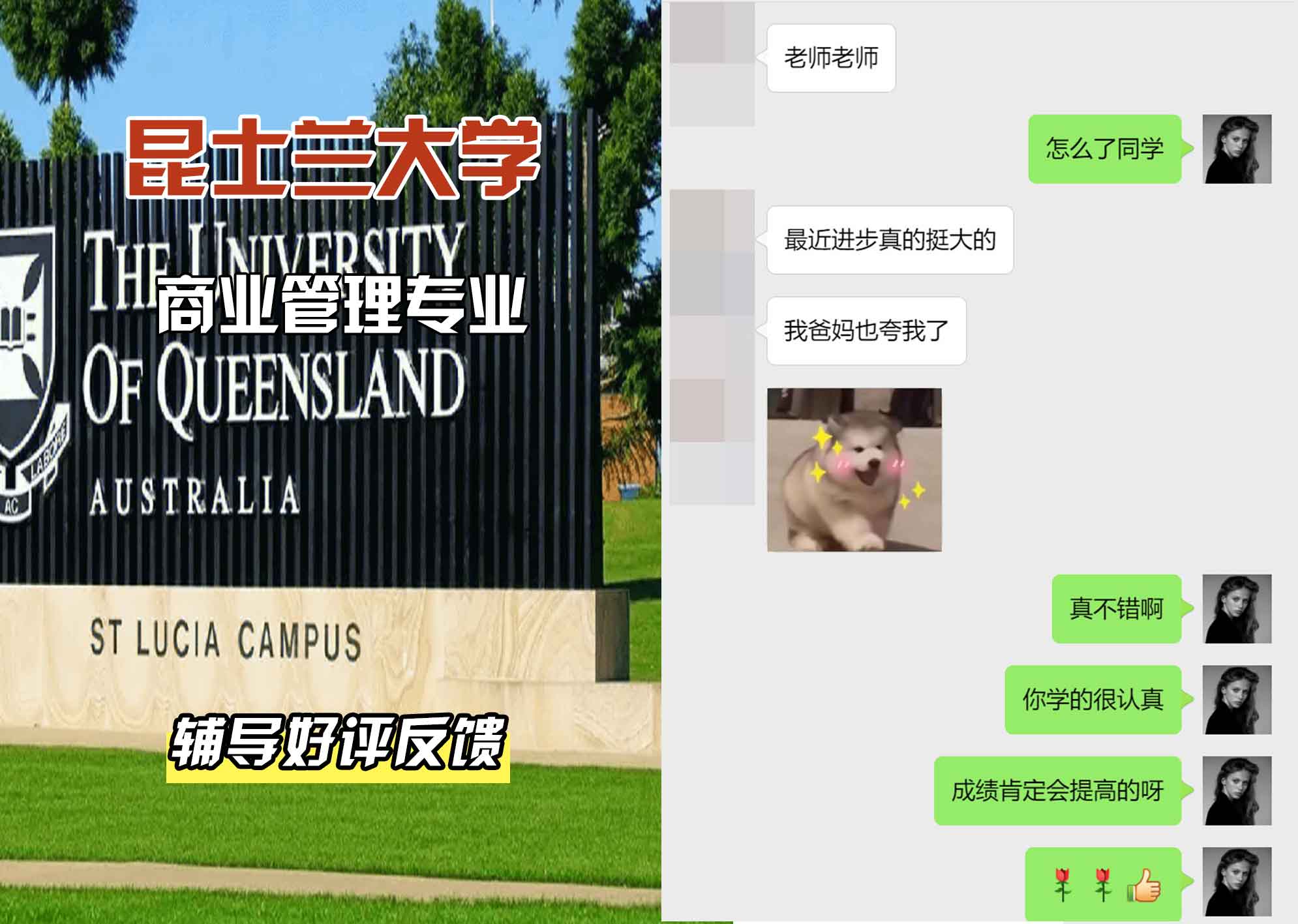 昆士兰大学UQ商业管理辅导好评反馈