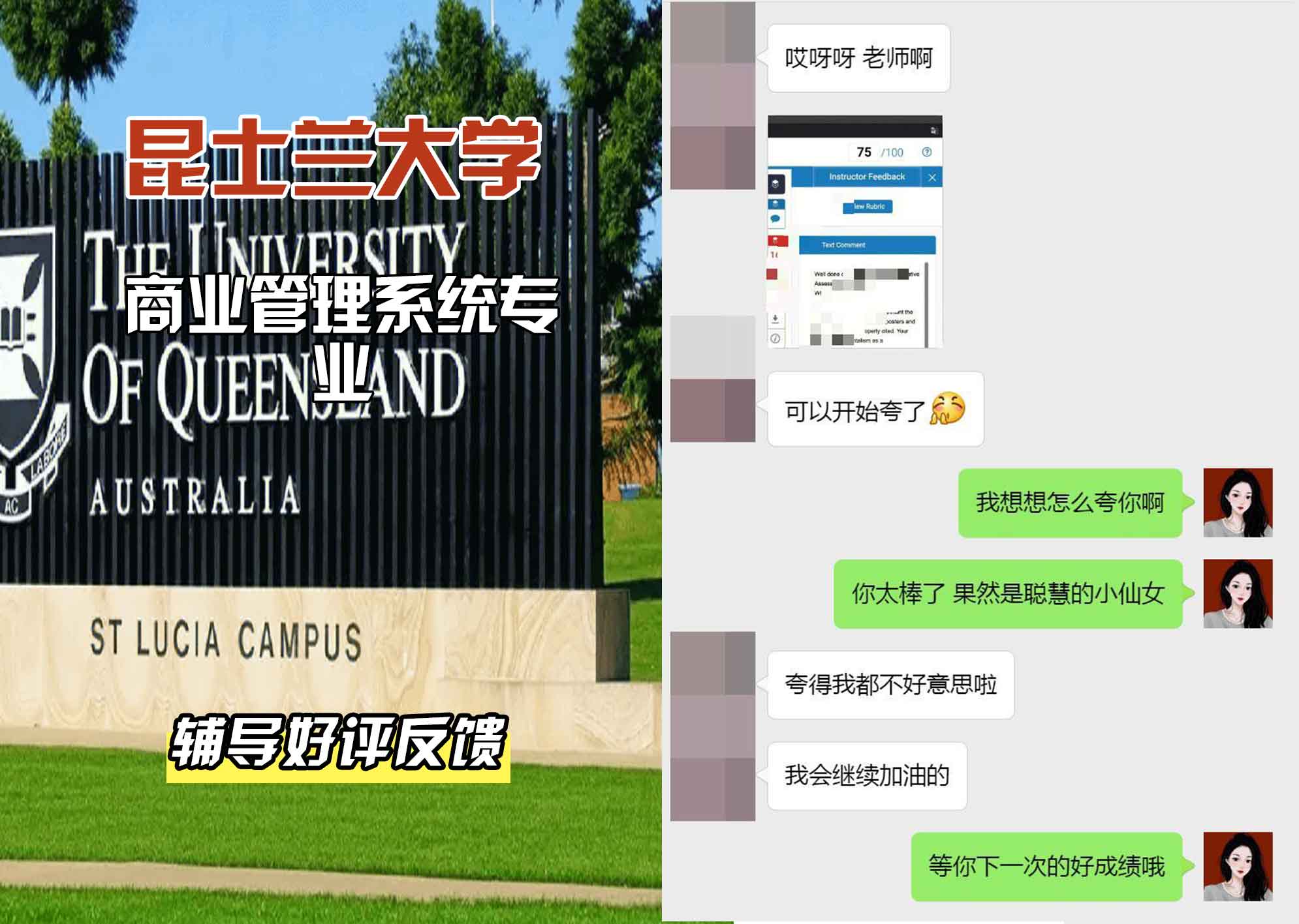 昆士兰大学UQ商业管理系统辅导好评反馈