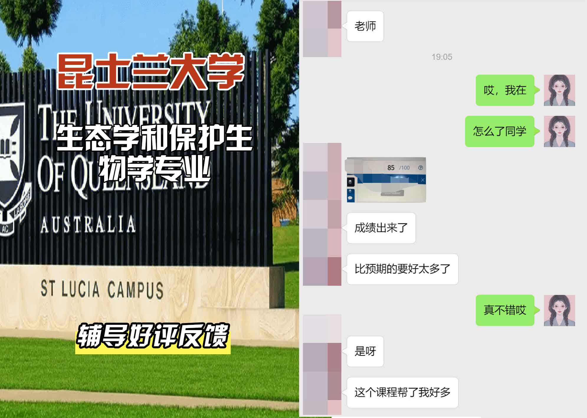 昆士兰大学UQ生态学和保护生物学辅导好评反馈