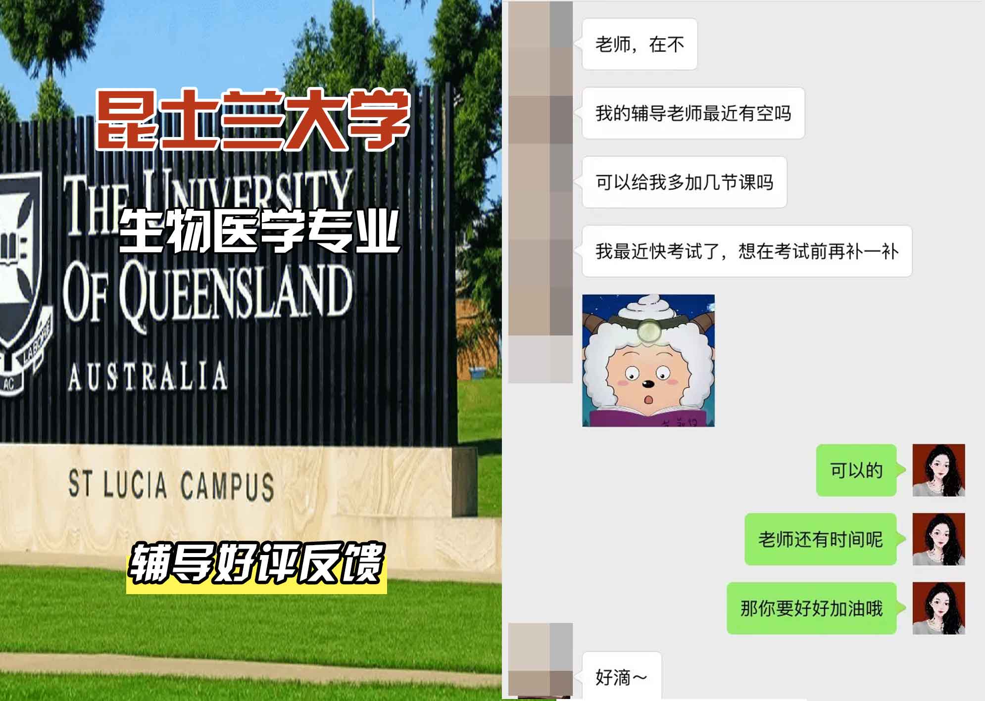 昆士兰大学UQ生物医学辅导好评反馈