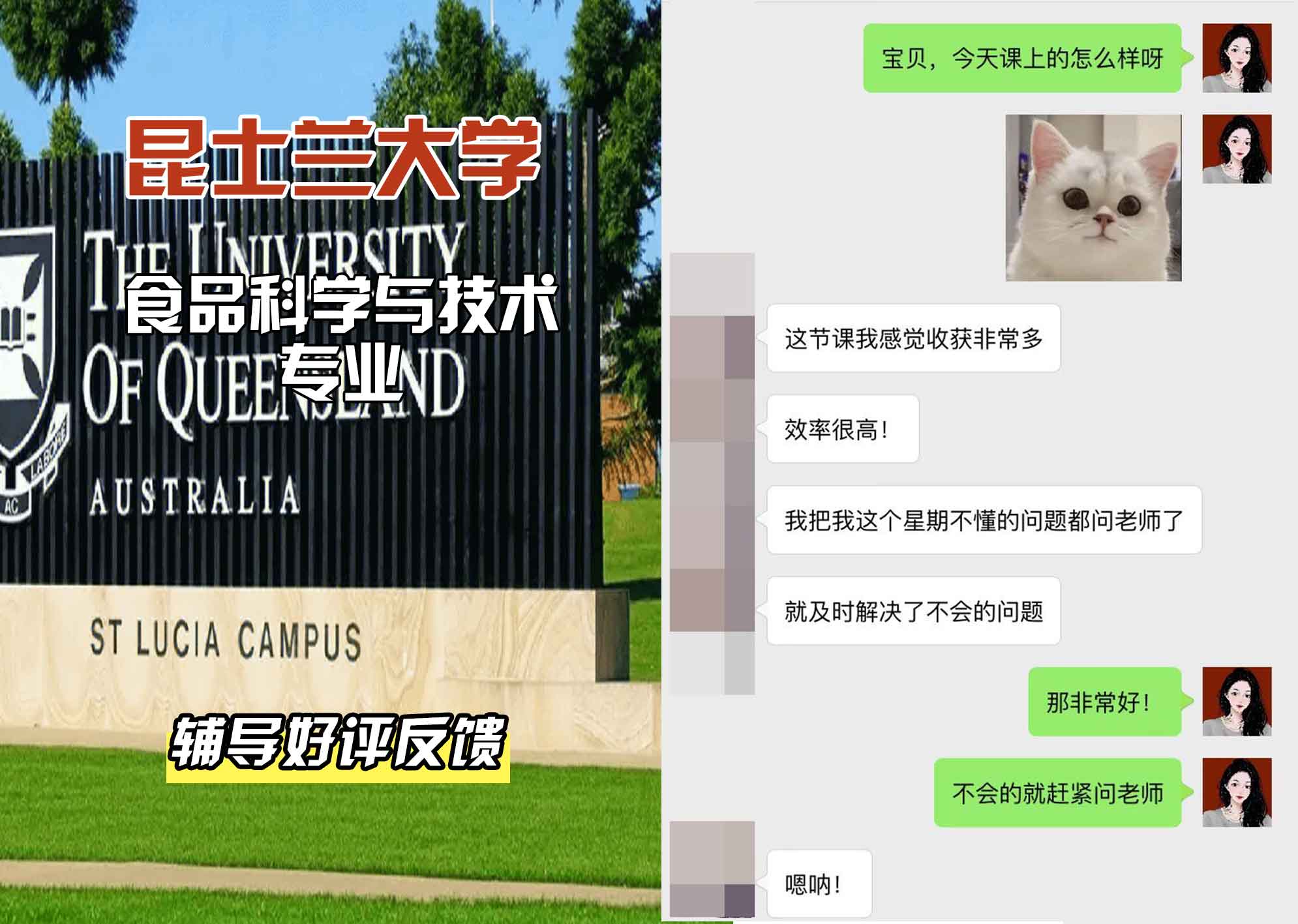 昆士兰大学UQ食品科学与技术辅导好评反馈