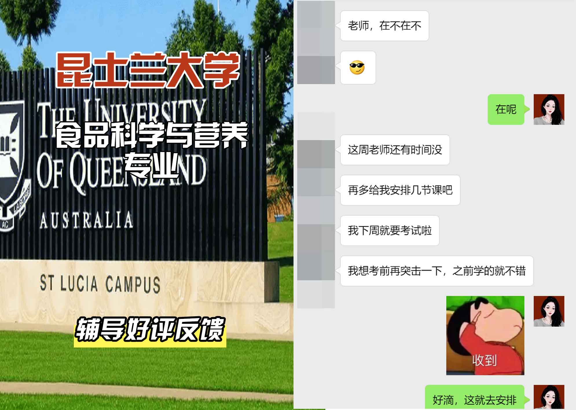 昆士兰大学UQ食品科学与营养辅导好评反馈