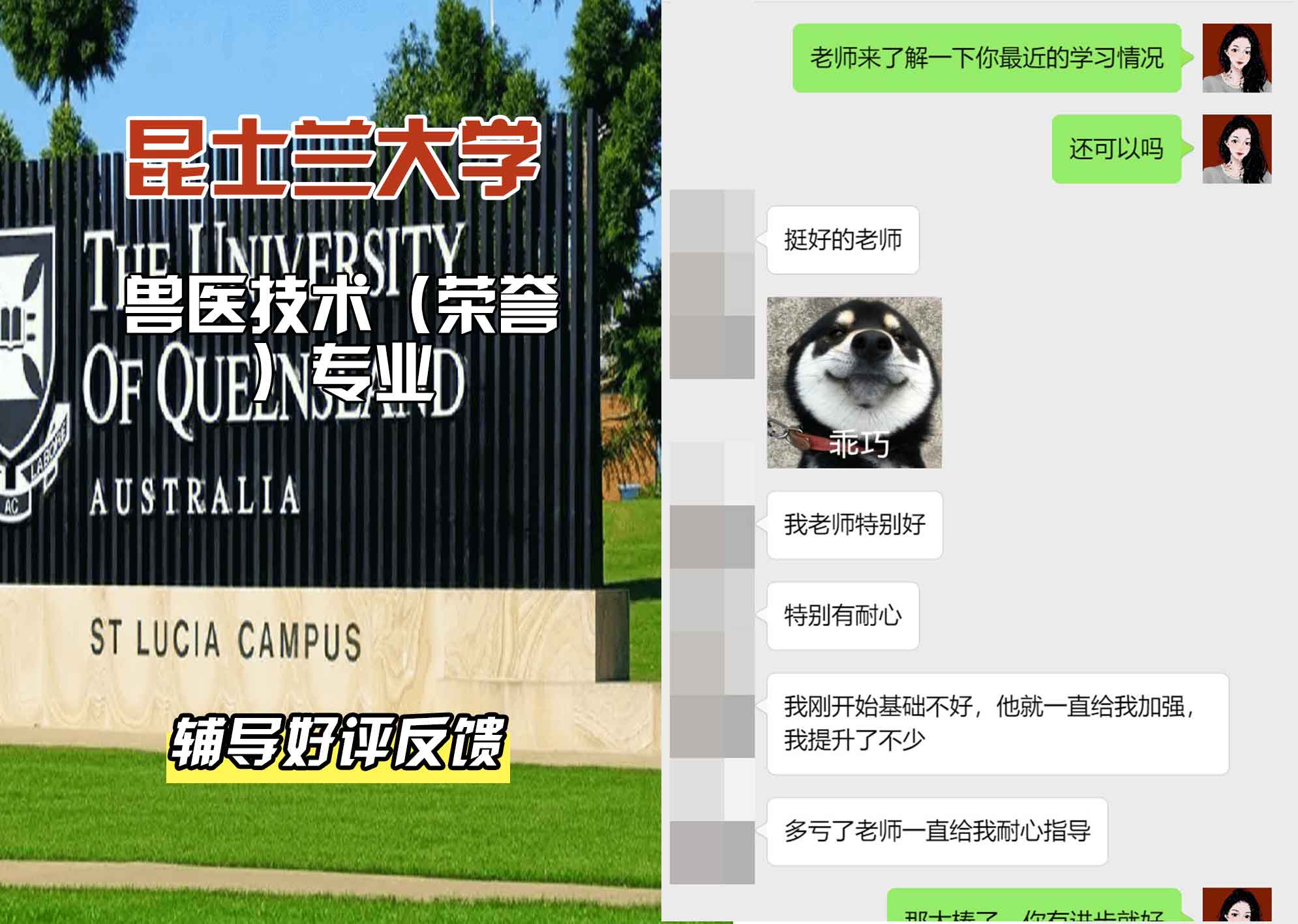 昆士兰大学UQ兽医技术（荣誉）辅导好评反馈
