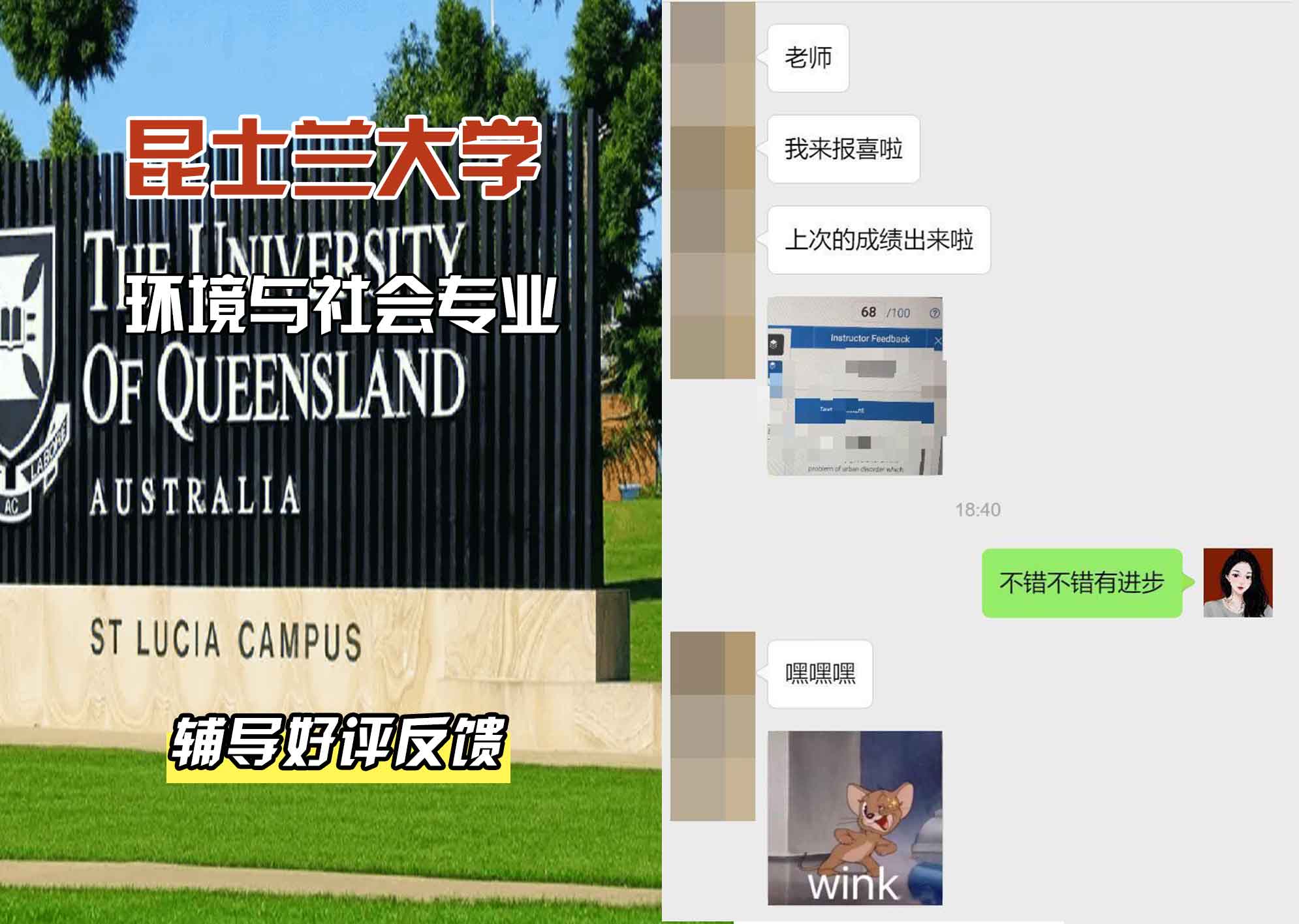 昆士兰大学UQ环境与社会辅导好评反馈