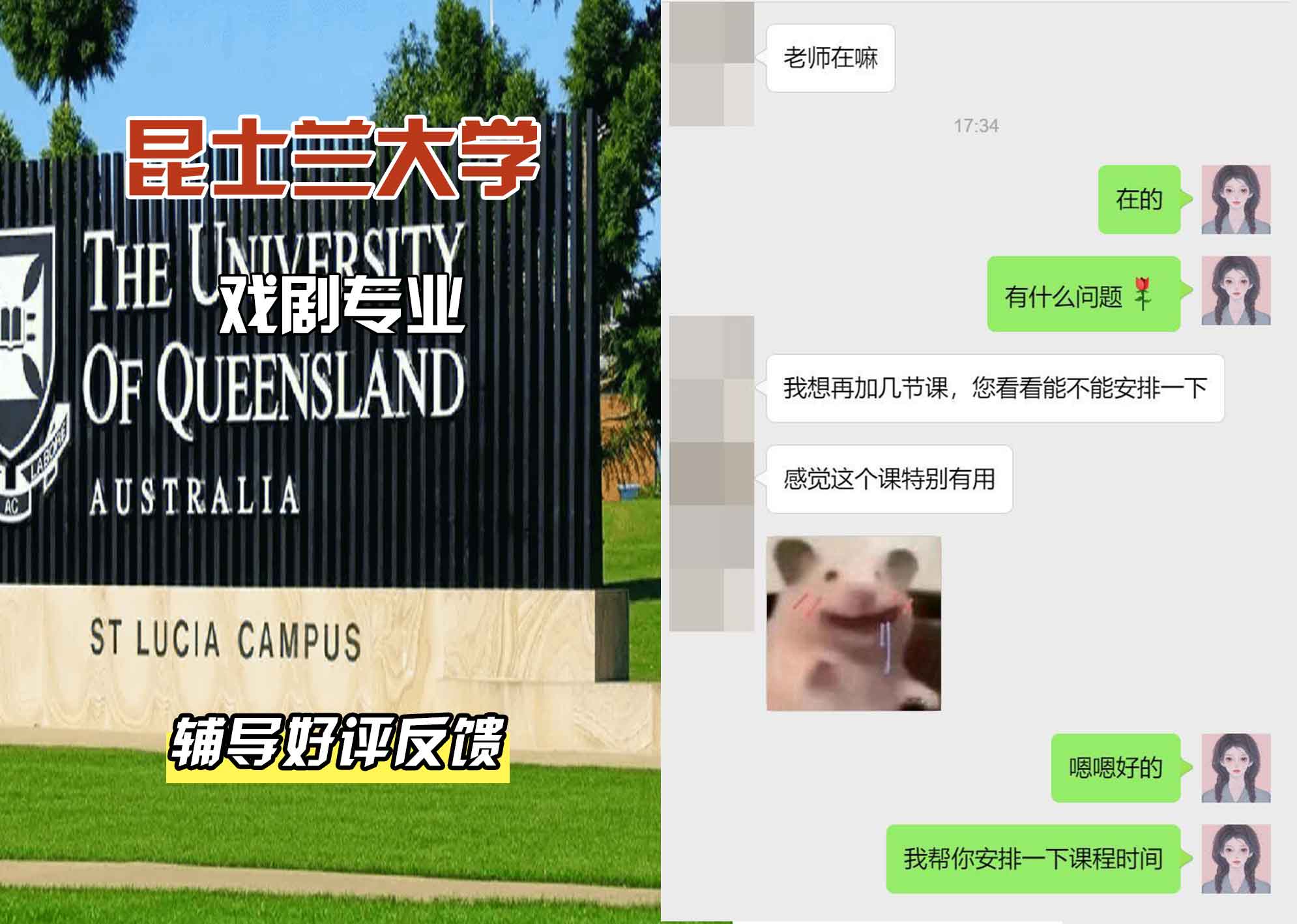 昆士兰大学UQ戏剧辅导好评反馈