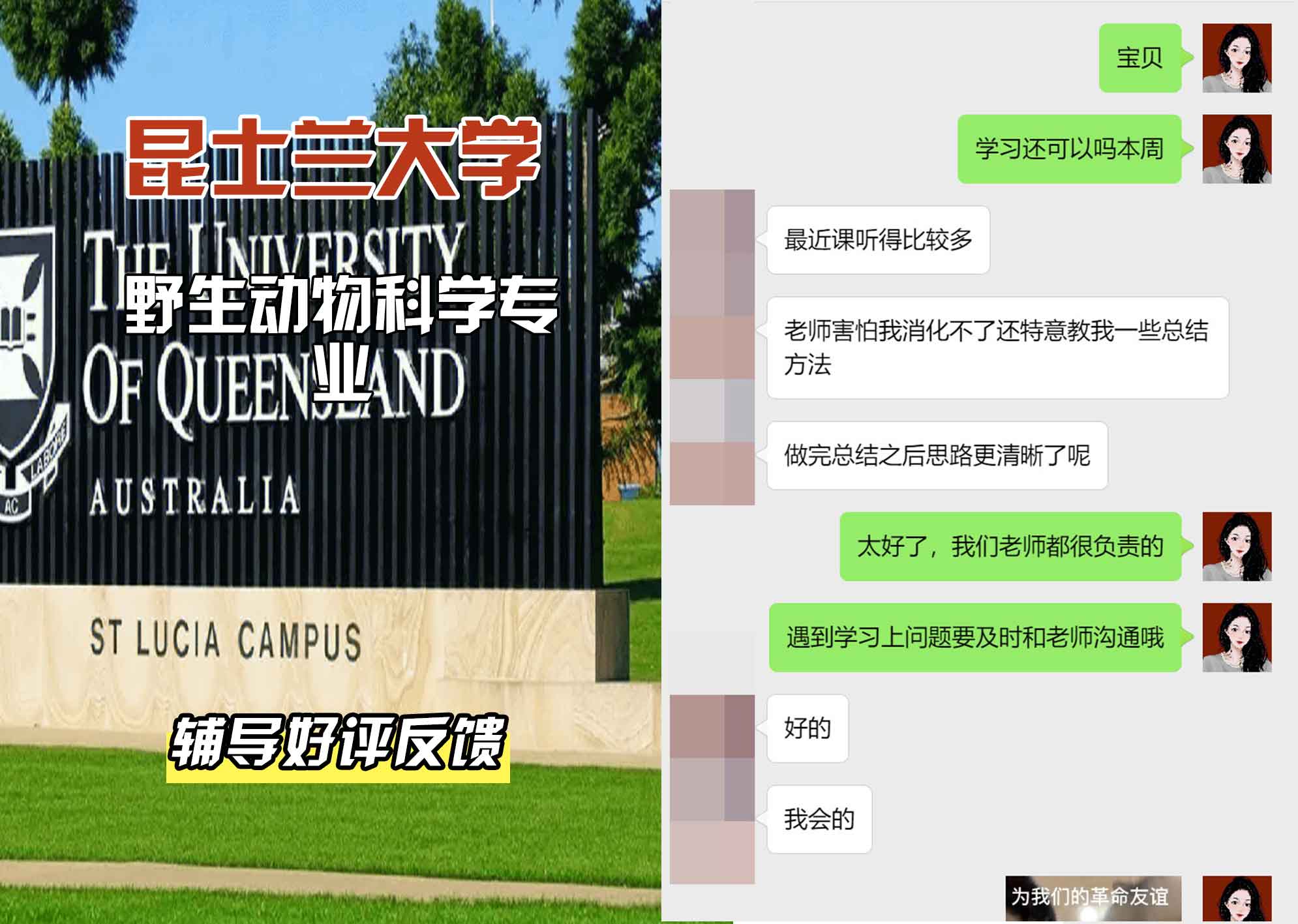 昆士兰大学UQ野生动物科学辅导好评反馈