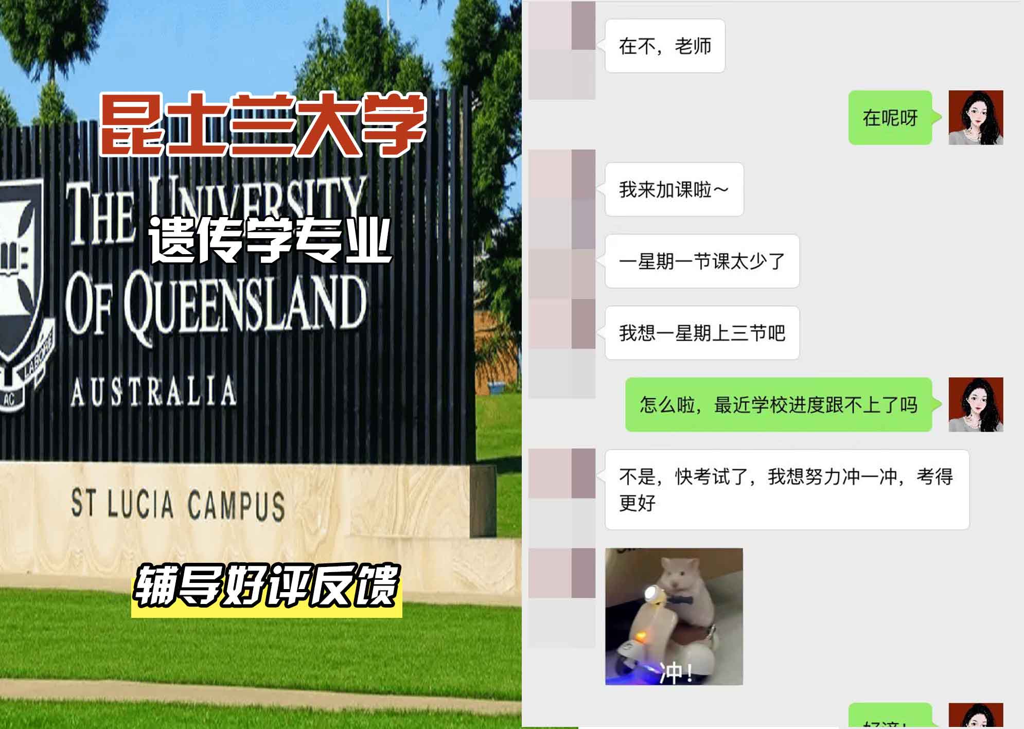 昆士兰大学UQ遗传学辅导好评反馈