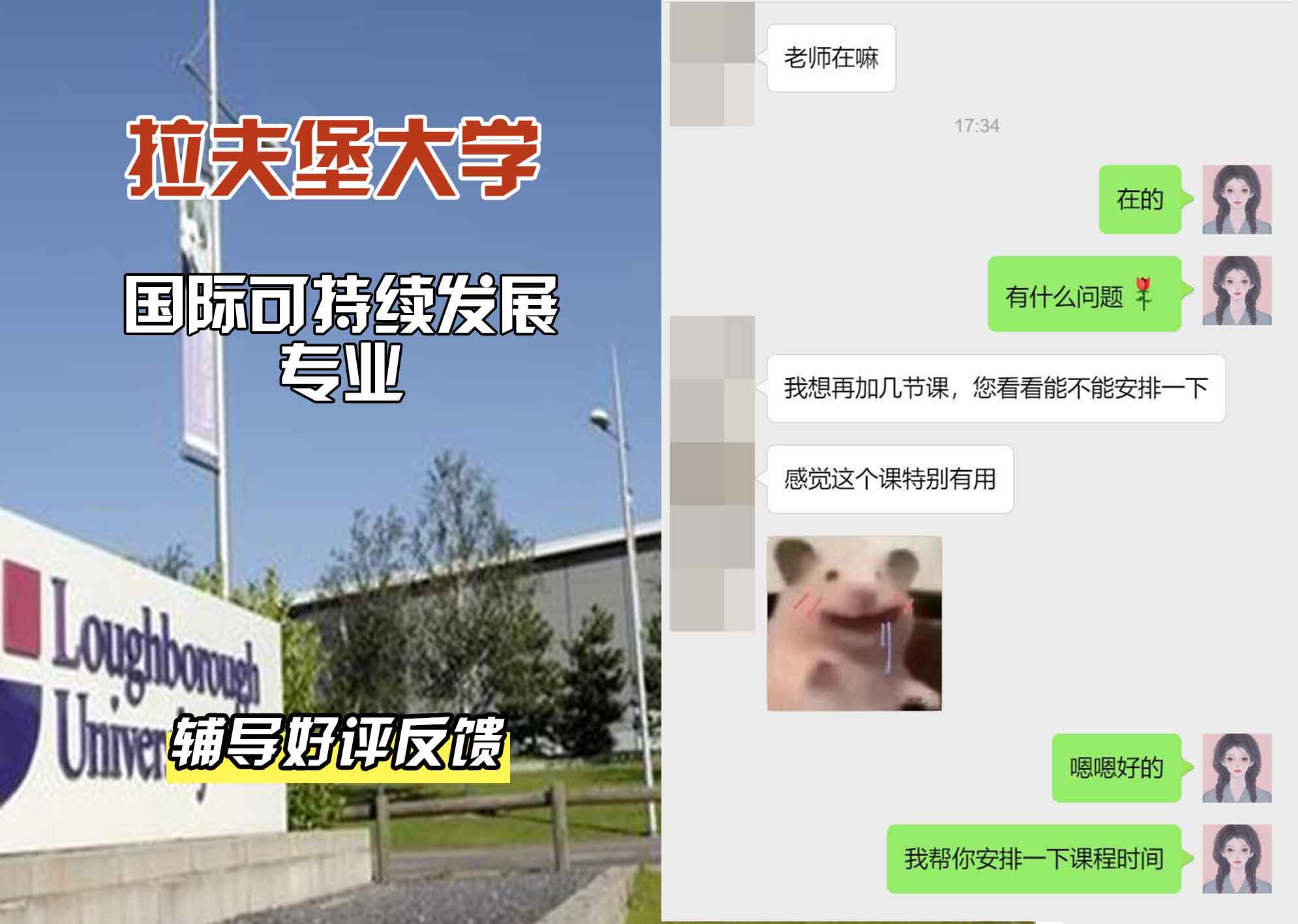 LU拉夫堡大学国际可持续发展辅导好评反馈