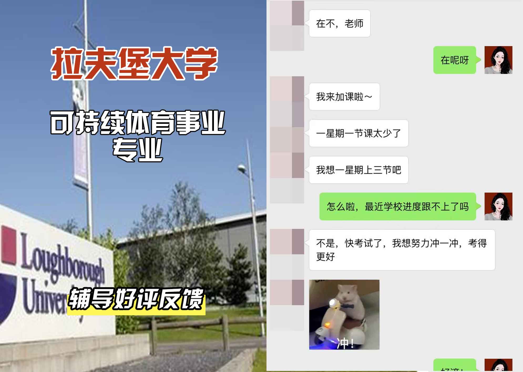 LU拉夫堡大学可持续体育事业辅导好评反馈