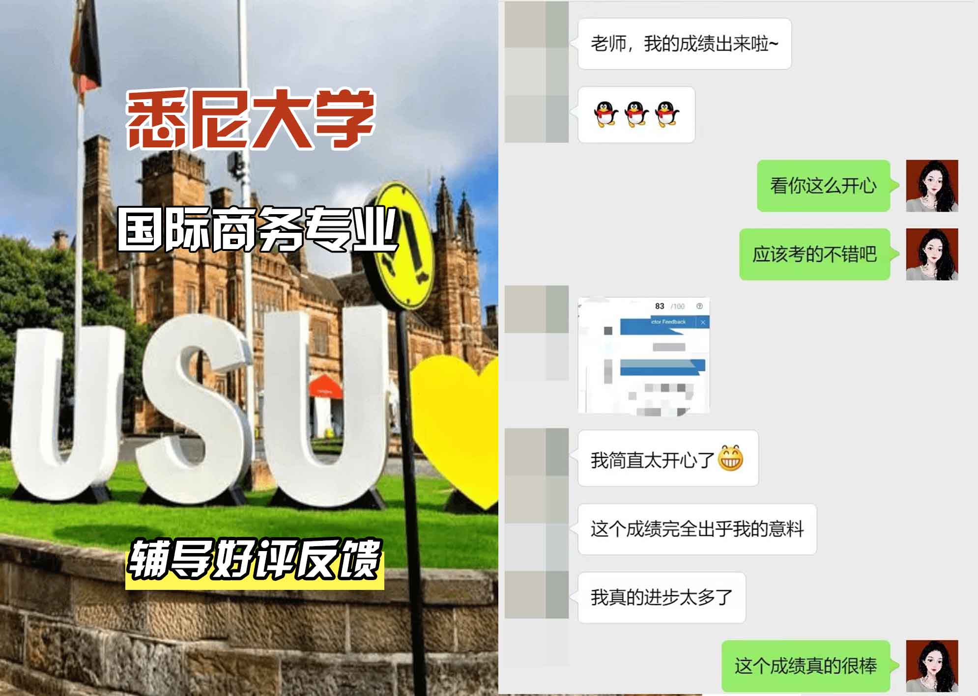 悉尼大学USYD国际商务辅导好评反馈