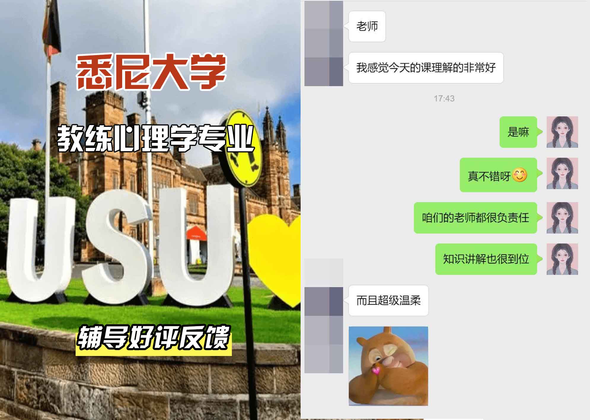 悉尼大学USYD教练心理学辅导好评反馈