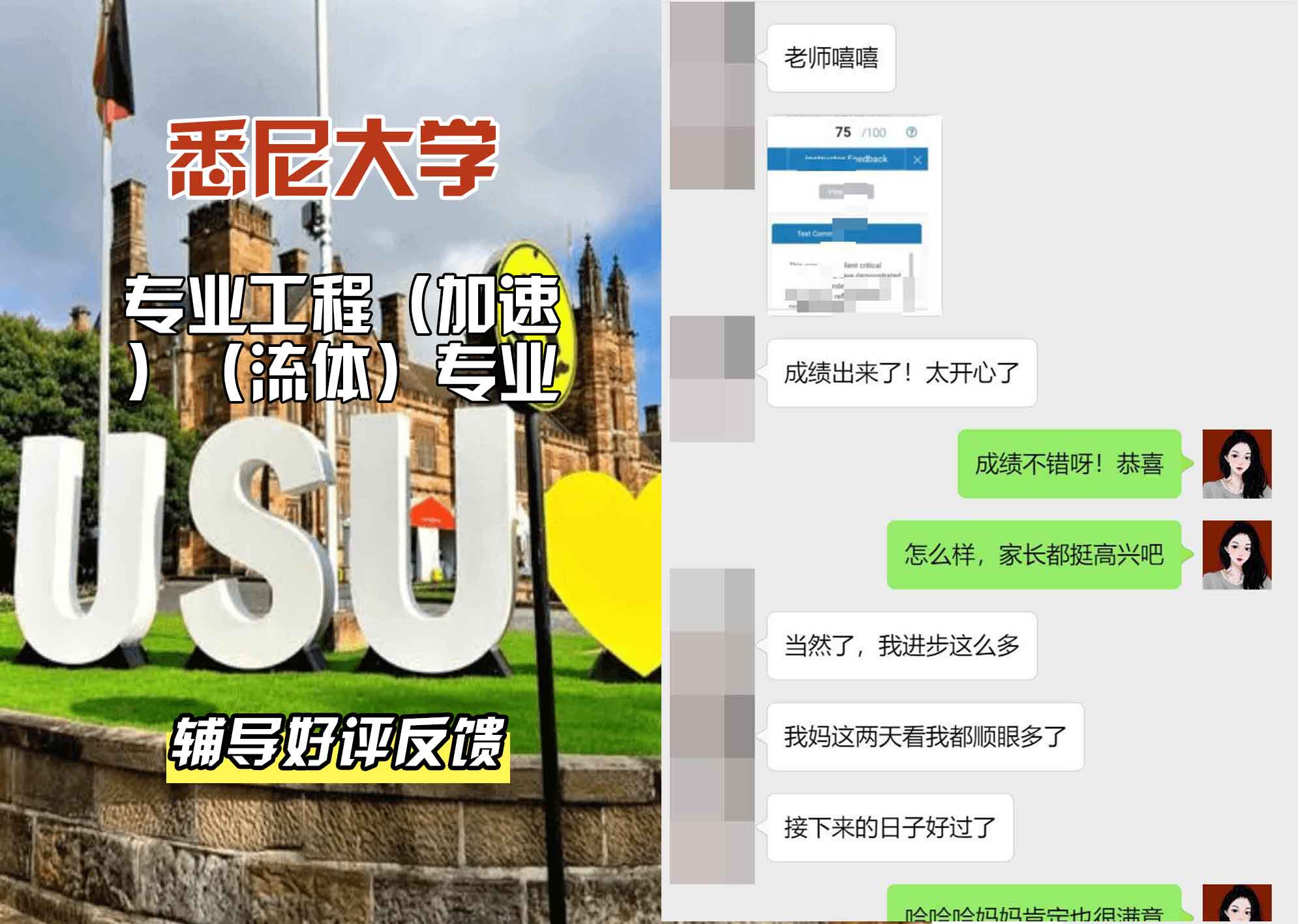悉尼大学USYD专业工程（加速）（流体）辅导好评反馈