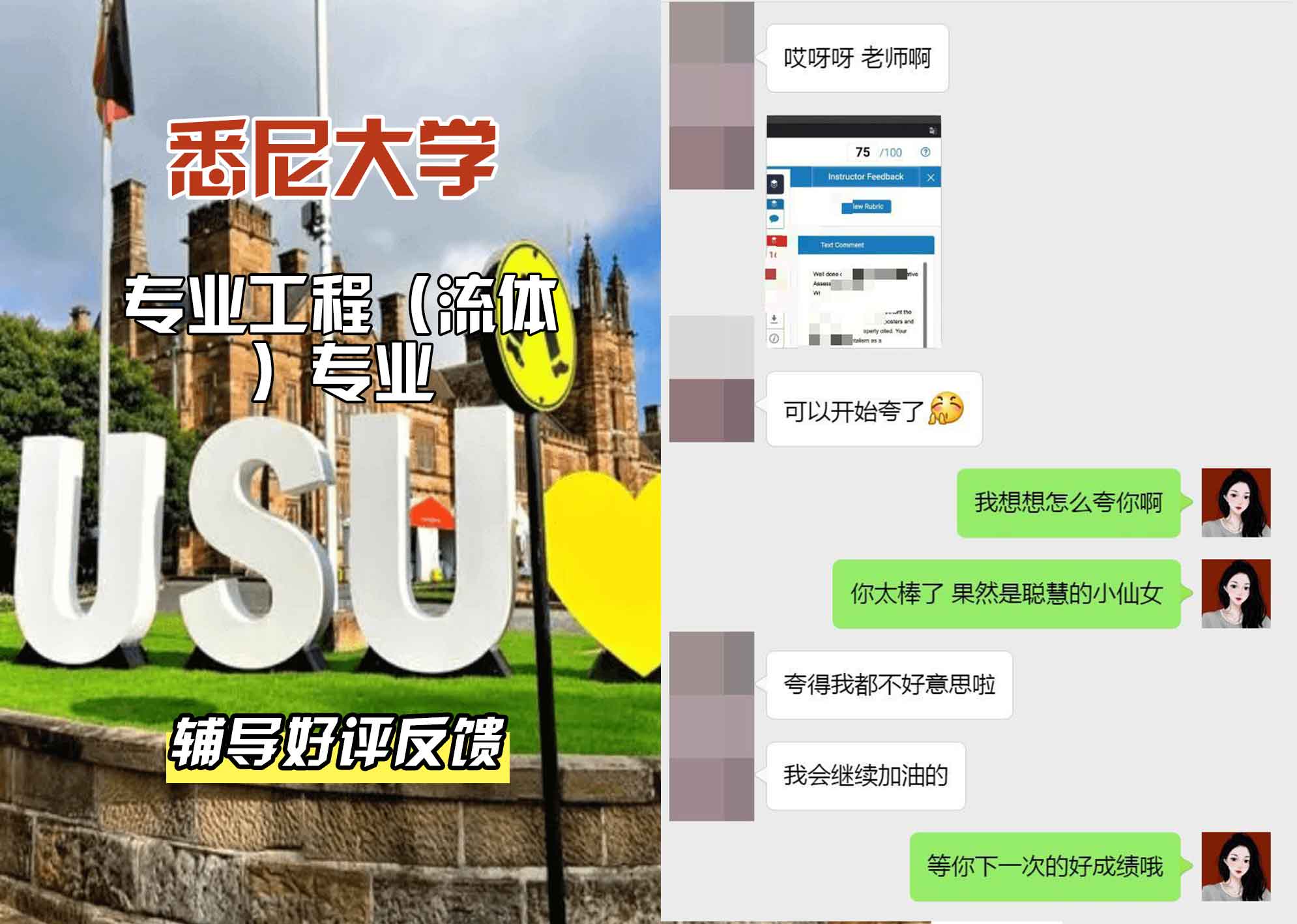 悉尼大学USYD专业工程（流体）辅导好评反馈